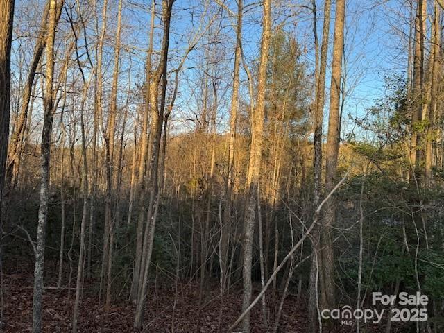 352 Walnut Grove Drive Property Photo 8