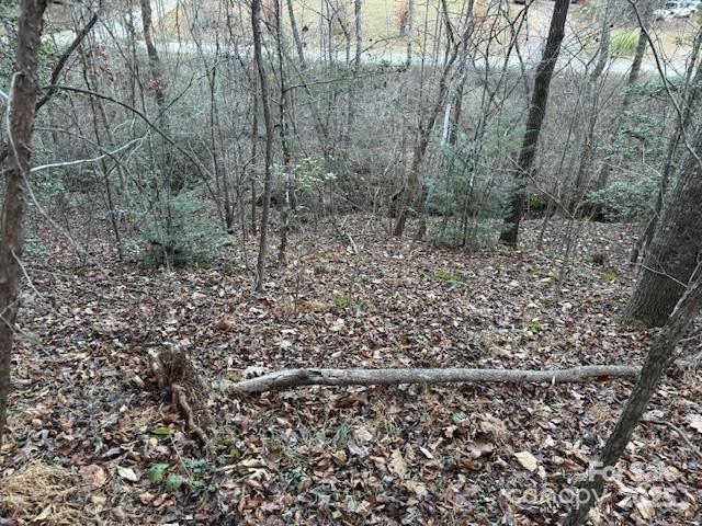 352 Walnut Grove Drive Property Photo 13