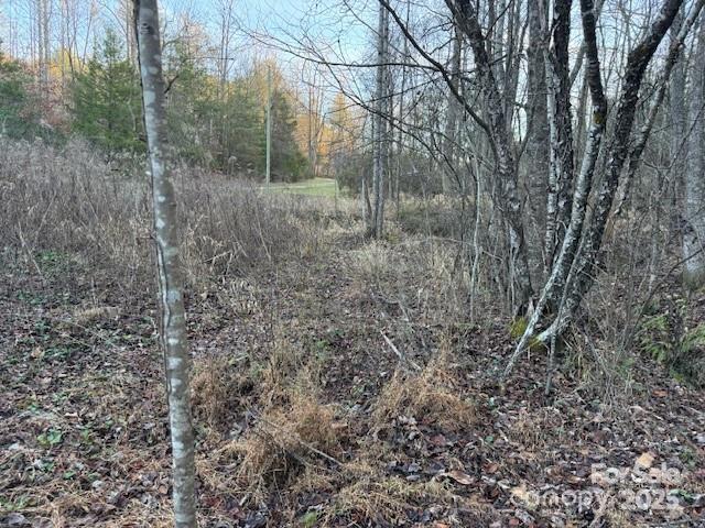 352 Walnut Grove Drive Property Photo 15