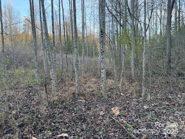 352 Walnut Grove Drive Property Photo 16