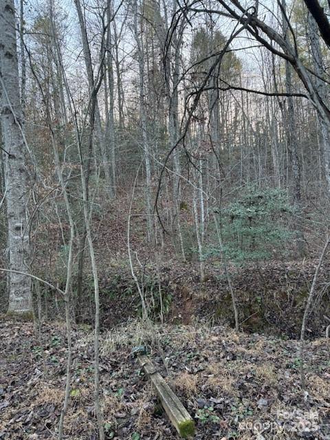 352 Walnut Grove Drive Property Photo 19