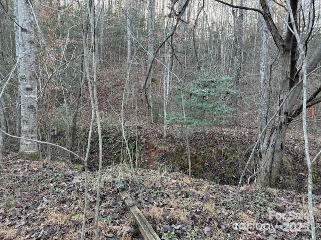 352 Walnut Grove Drive Property Photo 20