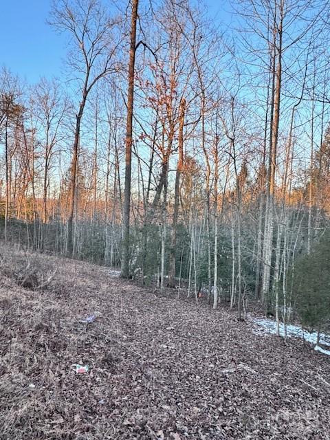 352 Walnut Grove Drive Property Photo 22