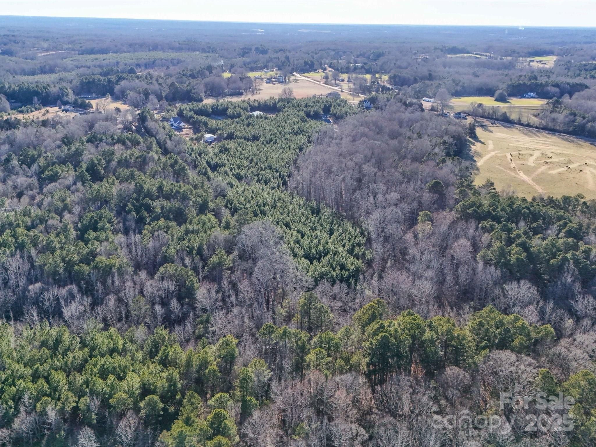 Lot #6 Otis Crosby Road Property Photo 3