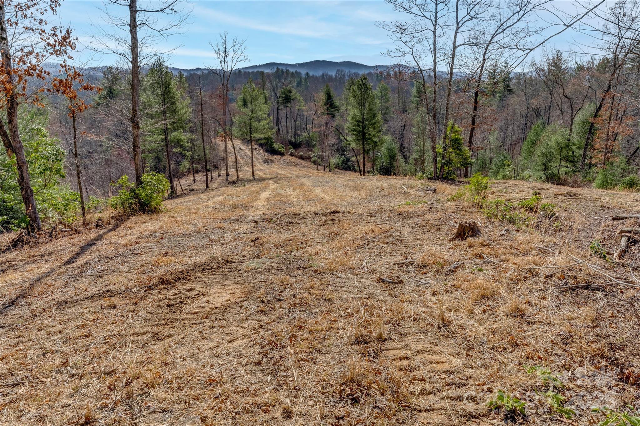 Lot 3 Walnut Hollow Road Property Photo
