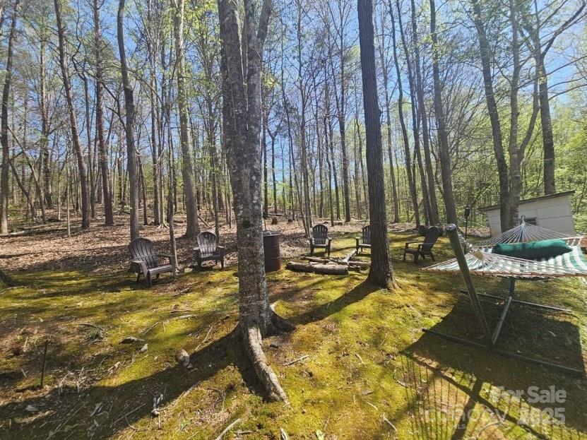 1597 Cleghorn Mill Road Property Photo 19