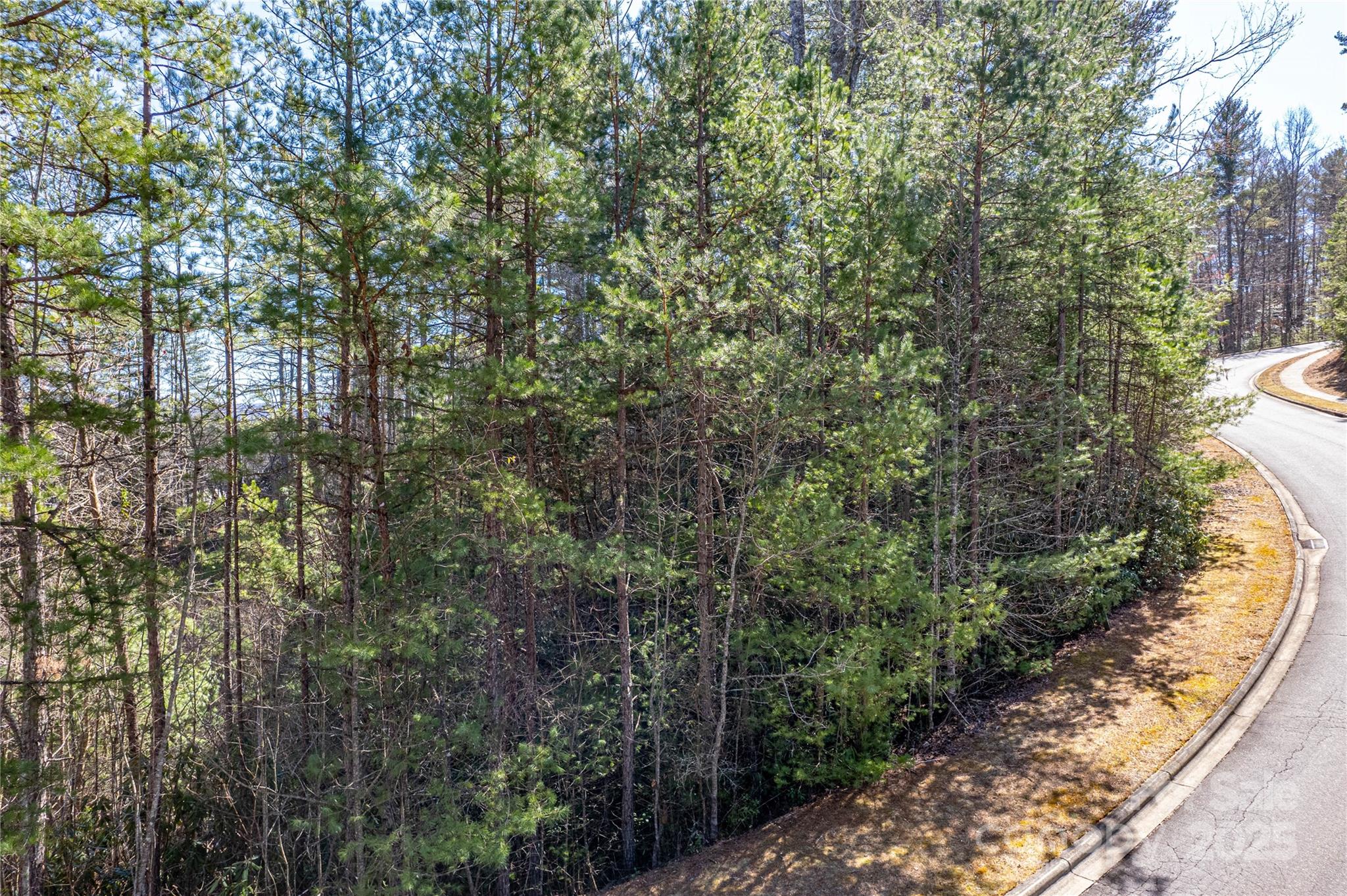Tbd Camptown Road M139 Property Photo 2