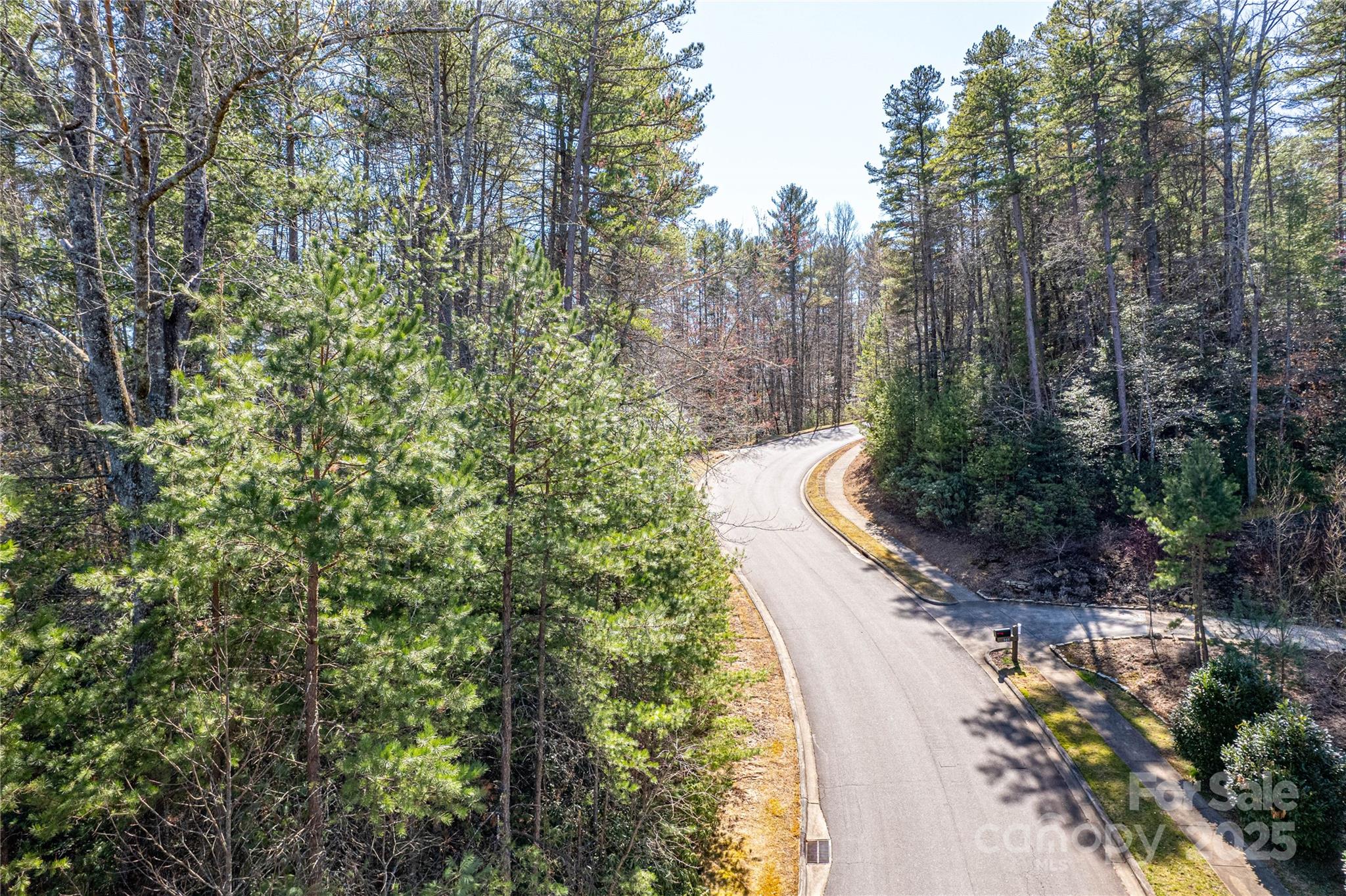 Tbd Camptown Road M139 Property Photo 3