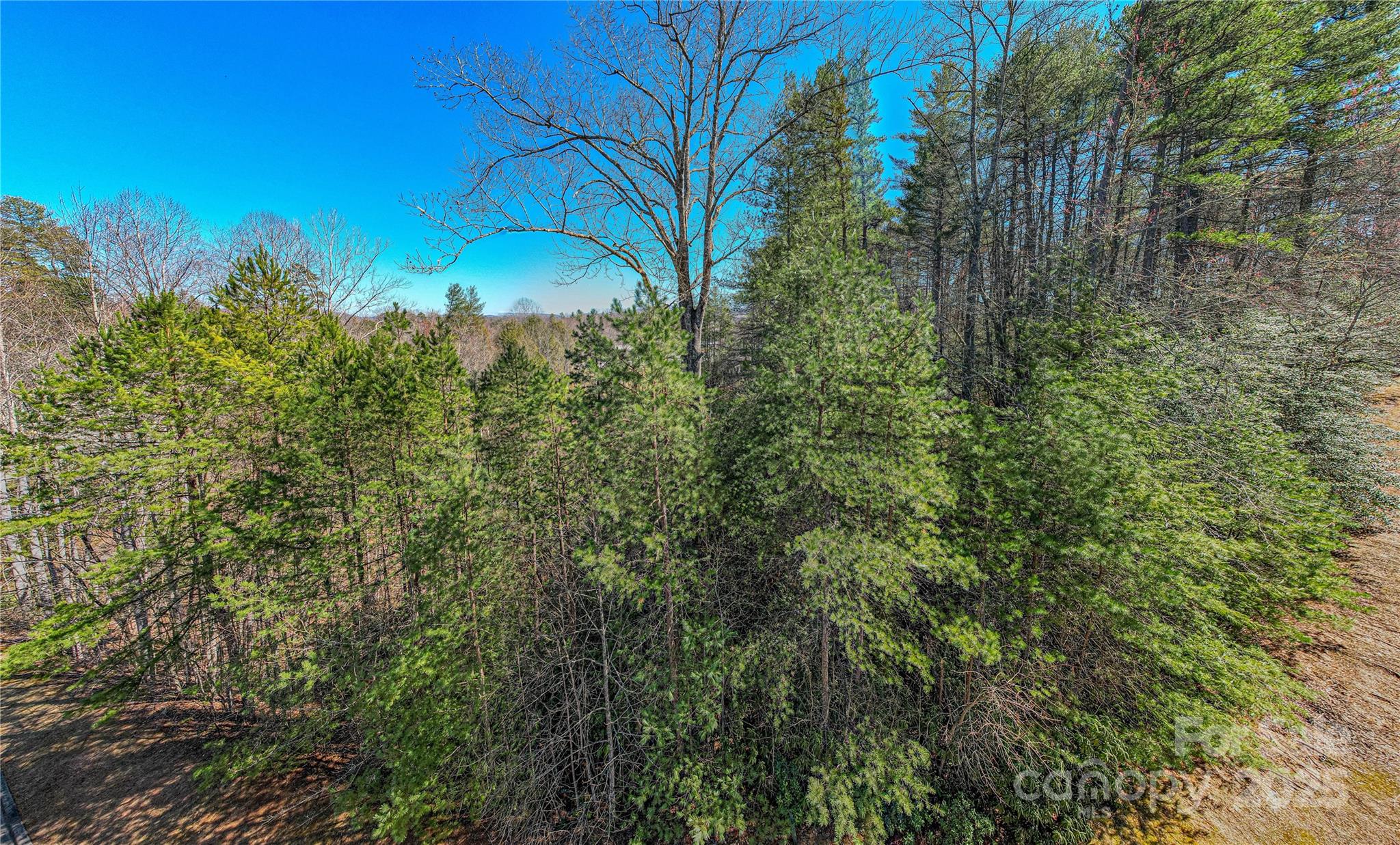 Tbd Camptown Road M139 Property Photo 4