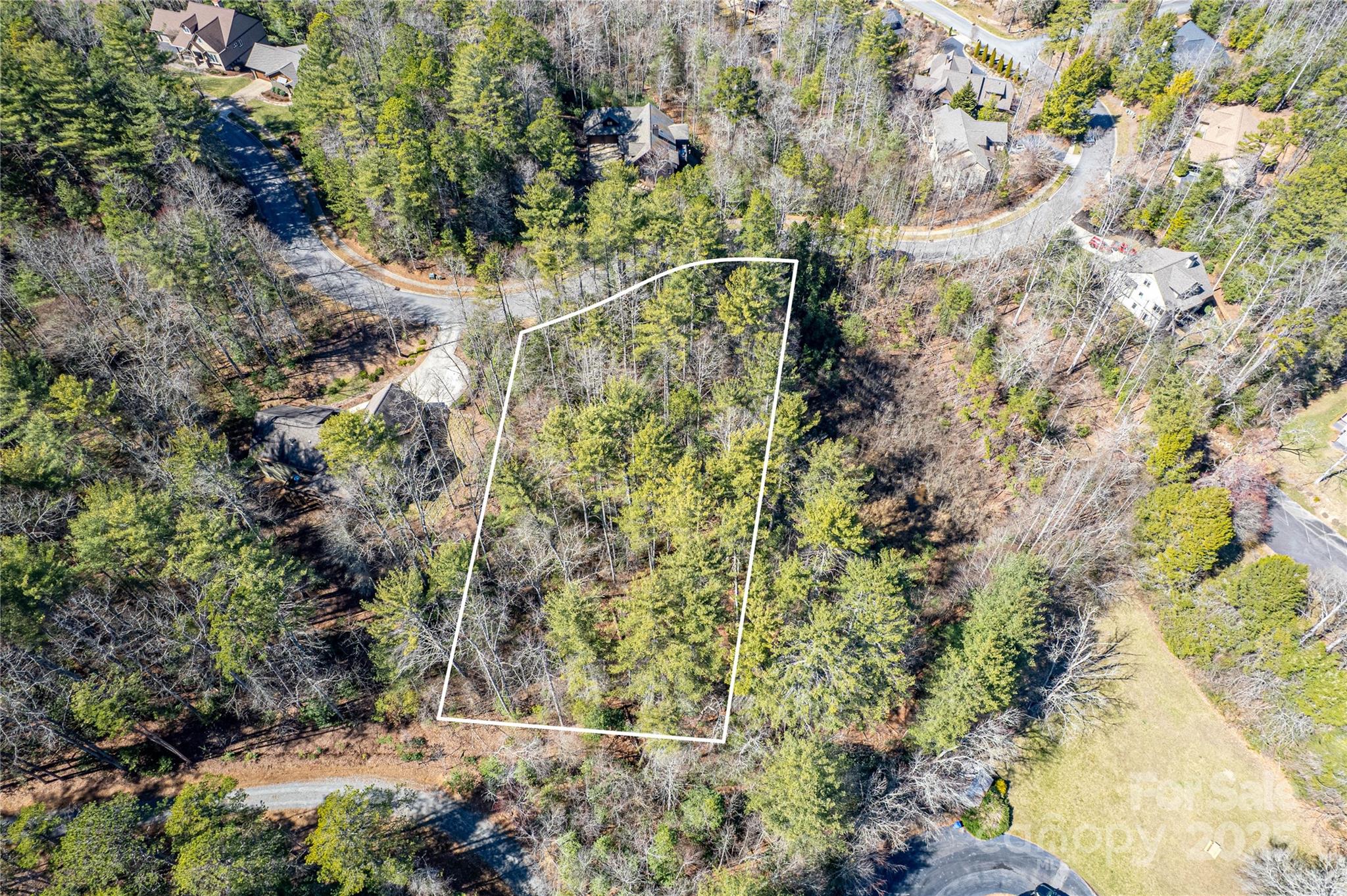 Tbd Camptown Road M139 Property Photo 7