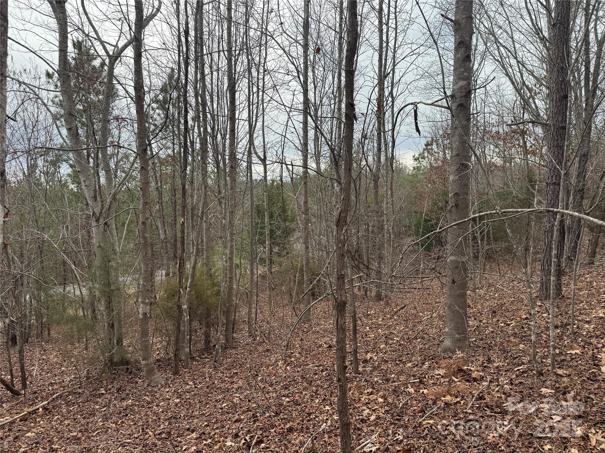 00 Stonecrest Parkway Property Photo 4