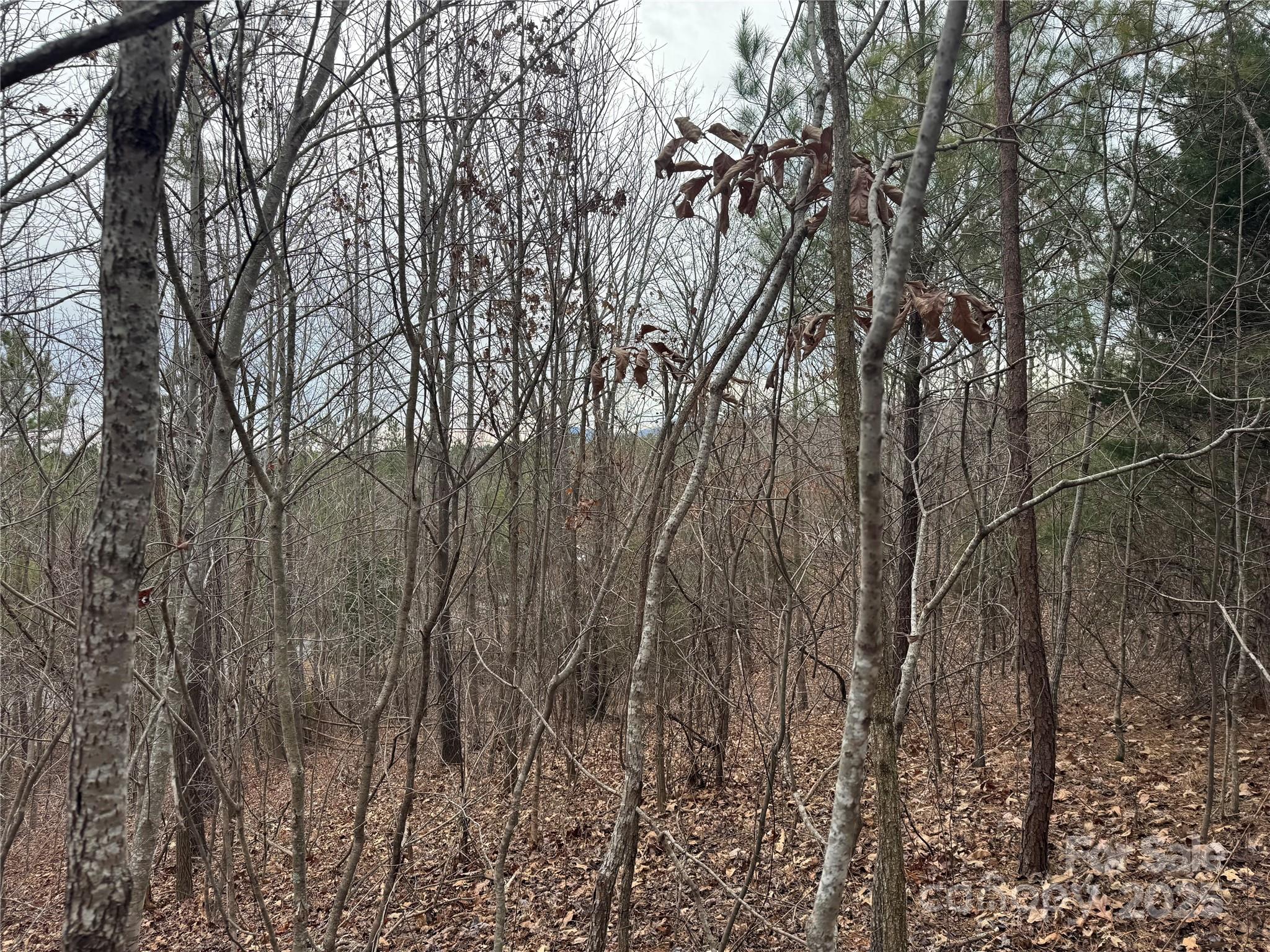 00 Stonecrest Parkway Property Photo 5