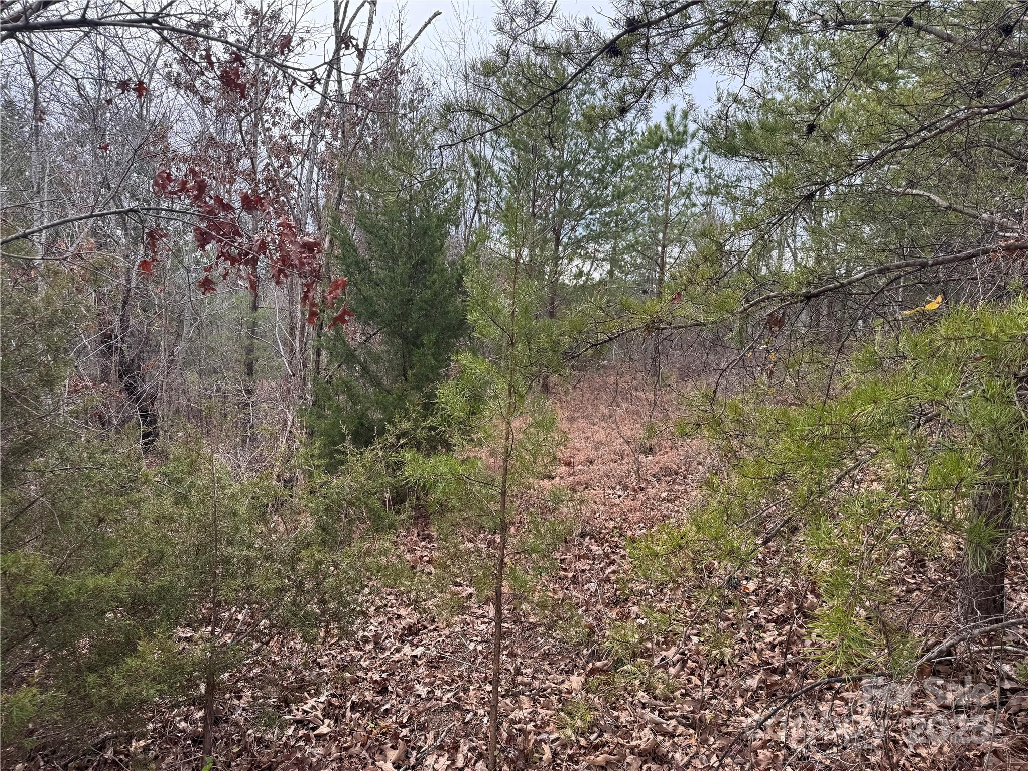 00 Stonecrest Parkway Property Photo 6