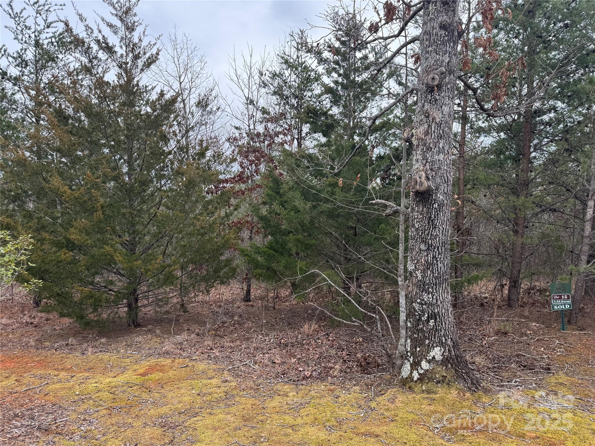 00 Stonecrest Parkway Property Photo 7