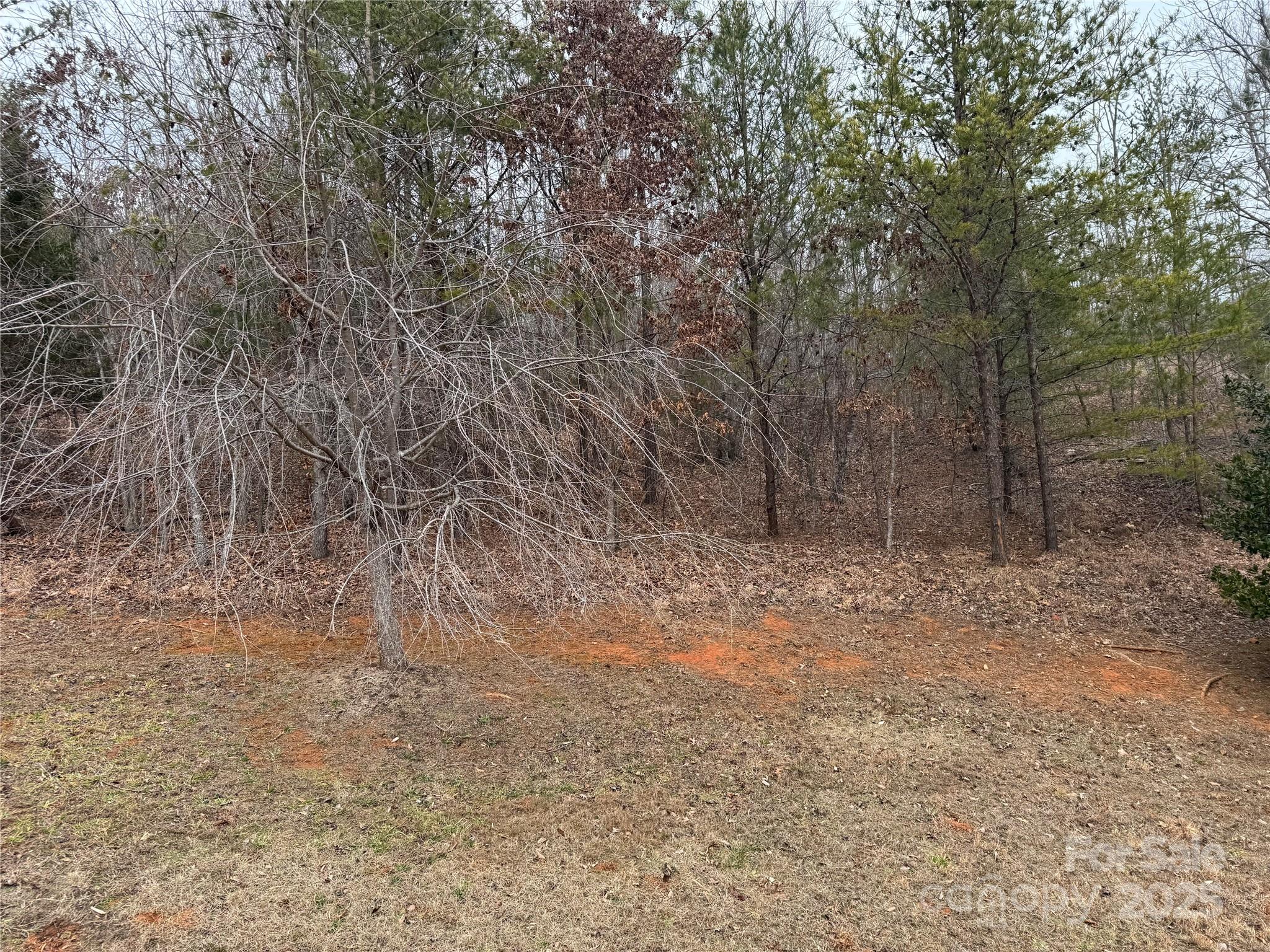 00 Stonecrest Parkway Property Photo 8