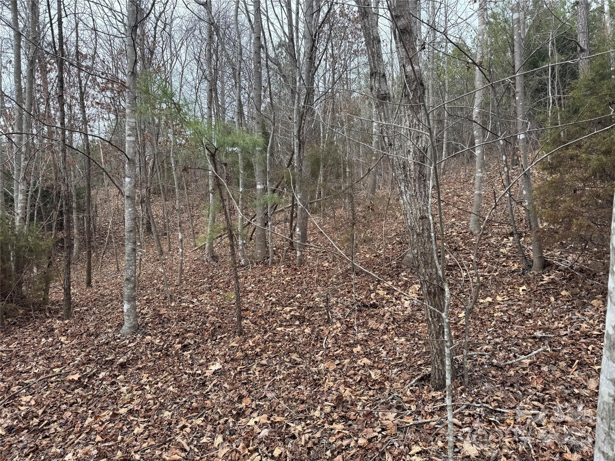 00 Stonecrest Parkway Property Photo 9