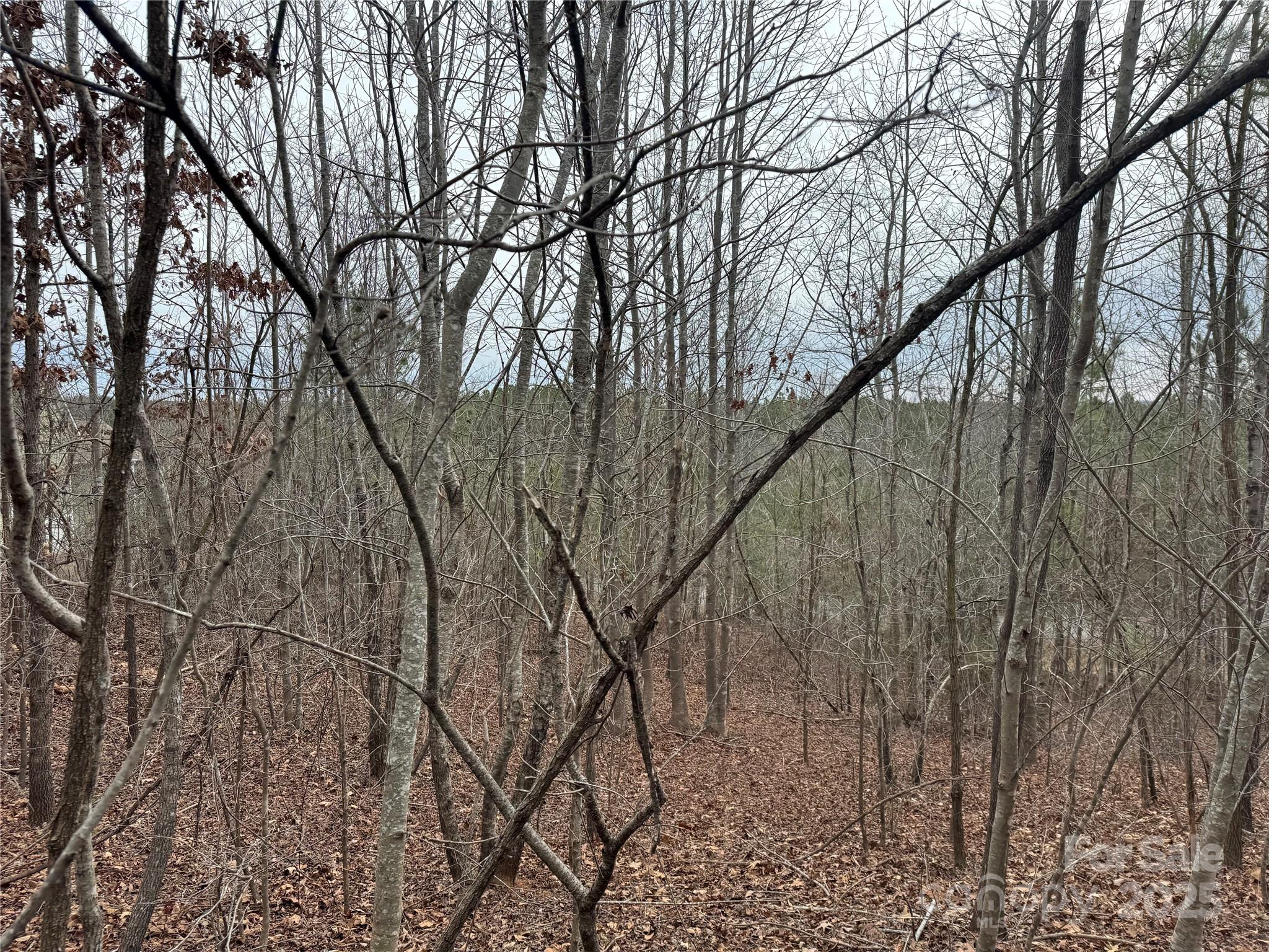 00 Stonecrest Parkway Property Photo 10