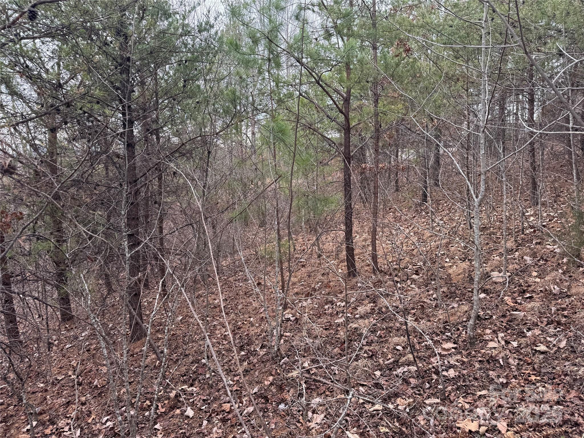 00 Stonecrest Parkway Property Photo 11