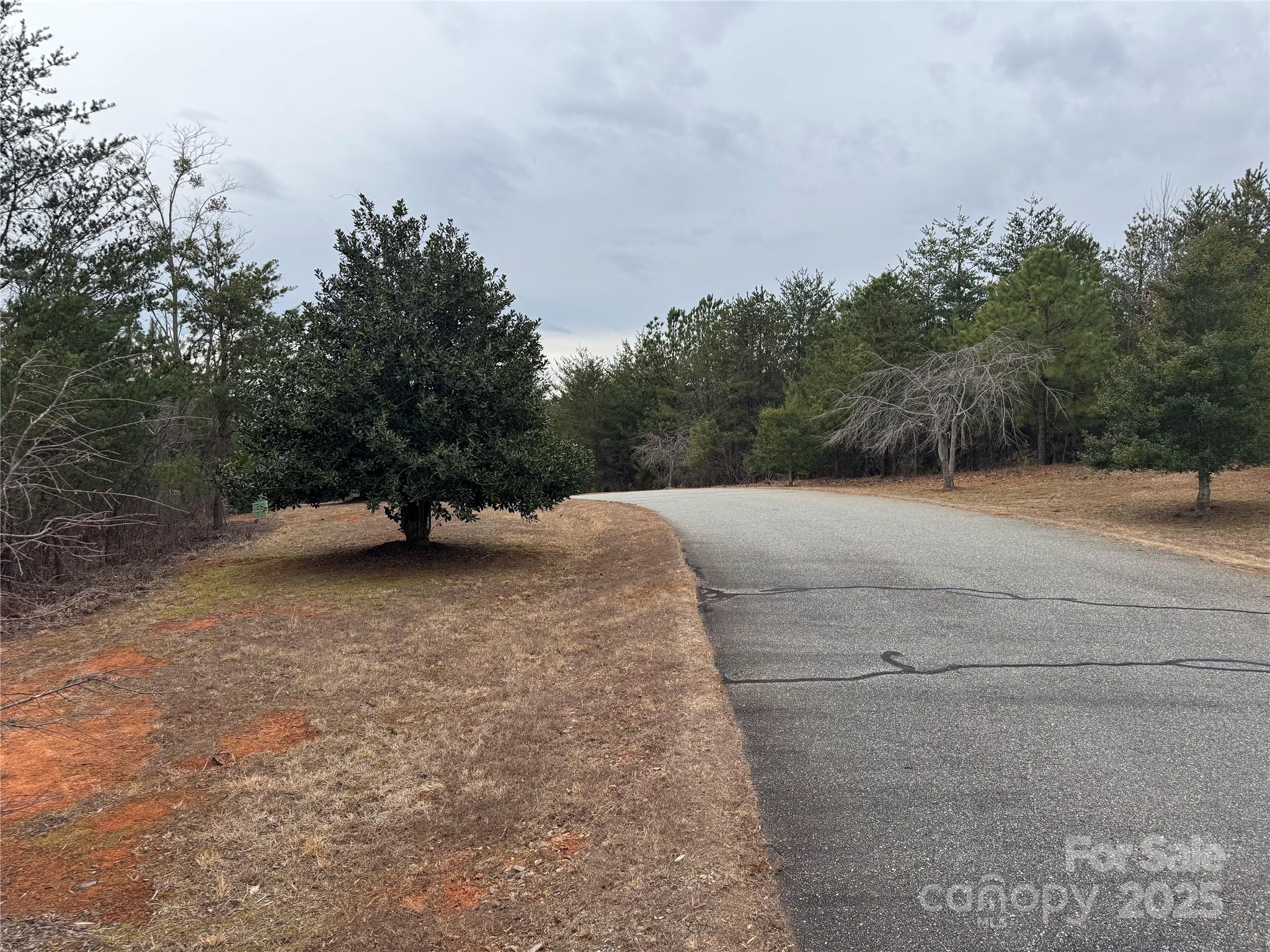 00 Stonecrest Parkway Property Photo 13