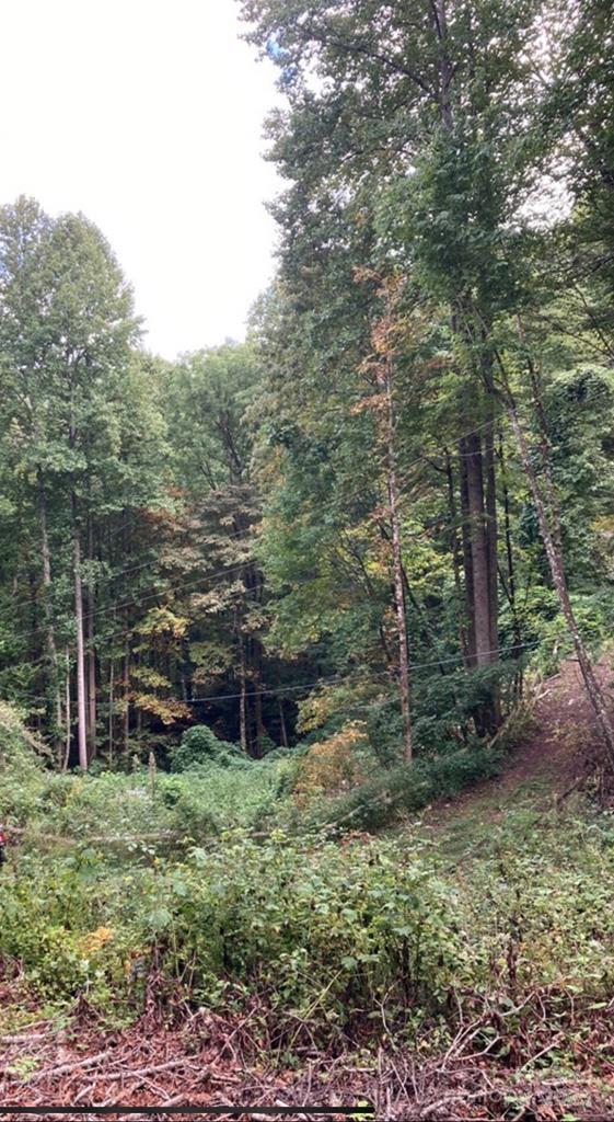 Big Laurel Acres Real Estate Listings Main Image