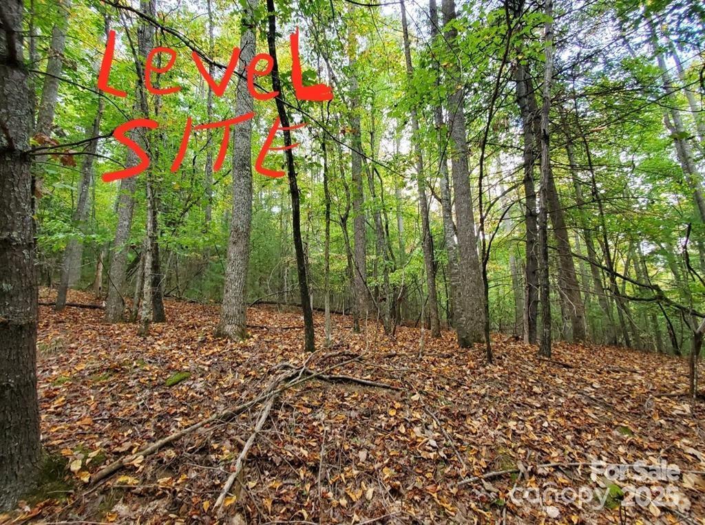 00 Hickory Wood Trail 20,21 Property Photo 1