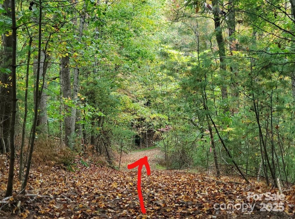 00 Hickory Wood Trail 20,21 Property Photo 3