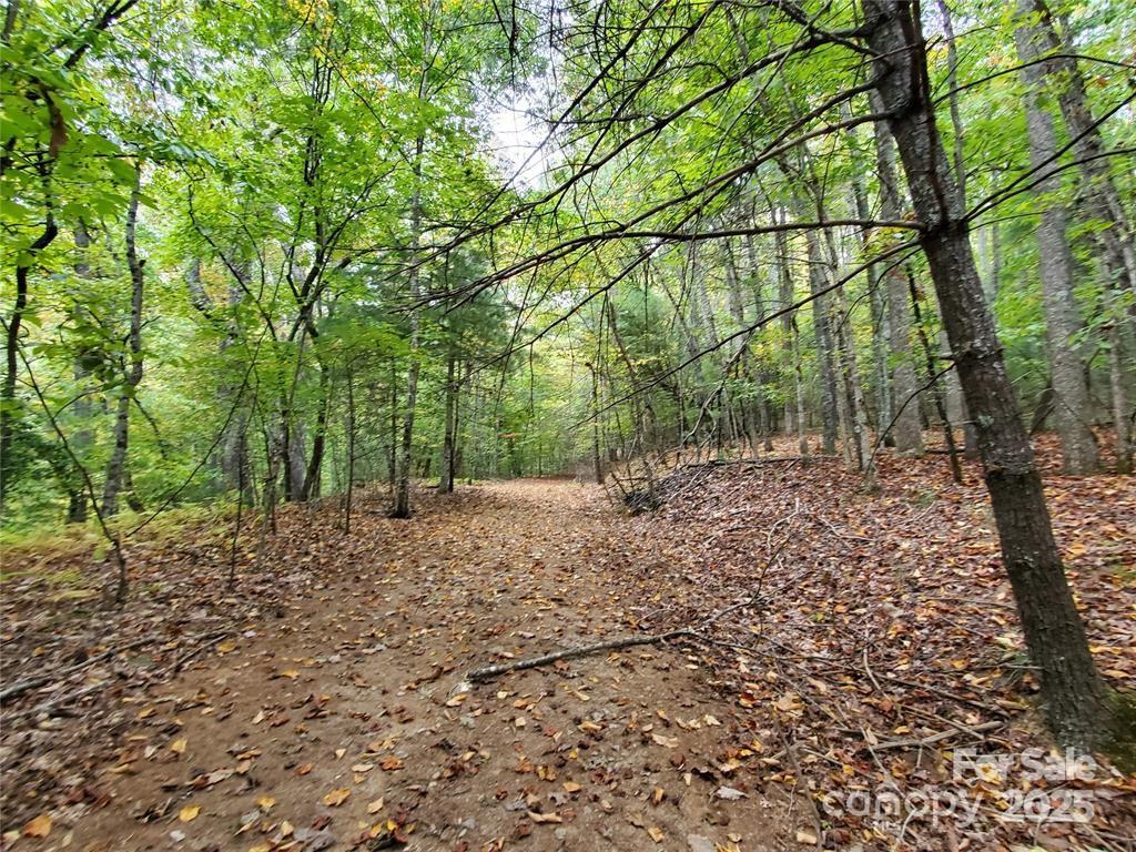 00 Hickory Wood Trail 20,21 Property Photo 4