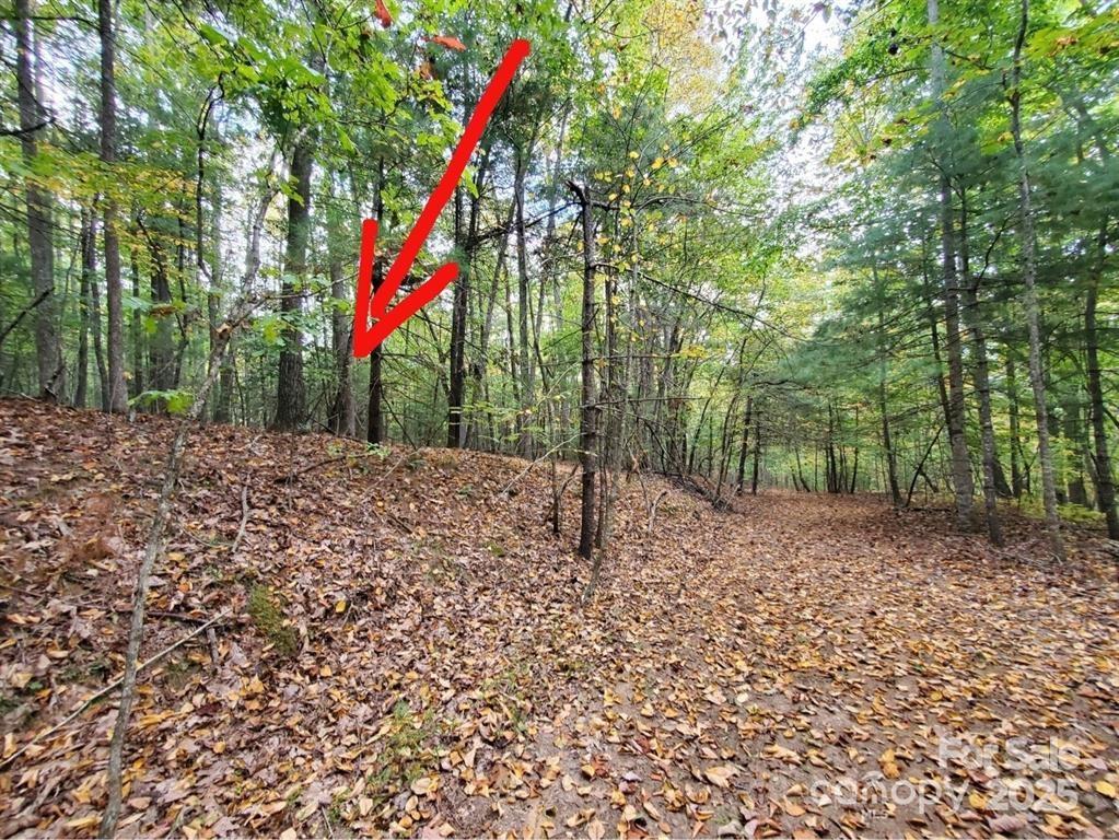 00 Hickory Wood Trail 20,21 Property Photo 5