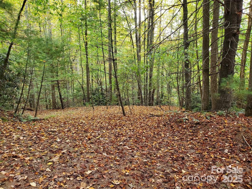 00 Hickory Wood Trail 20,21 Property Photo 6