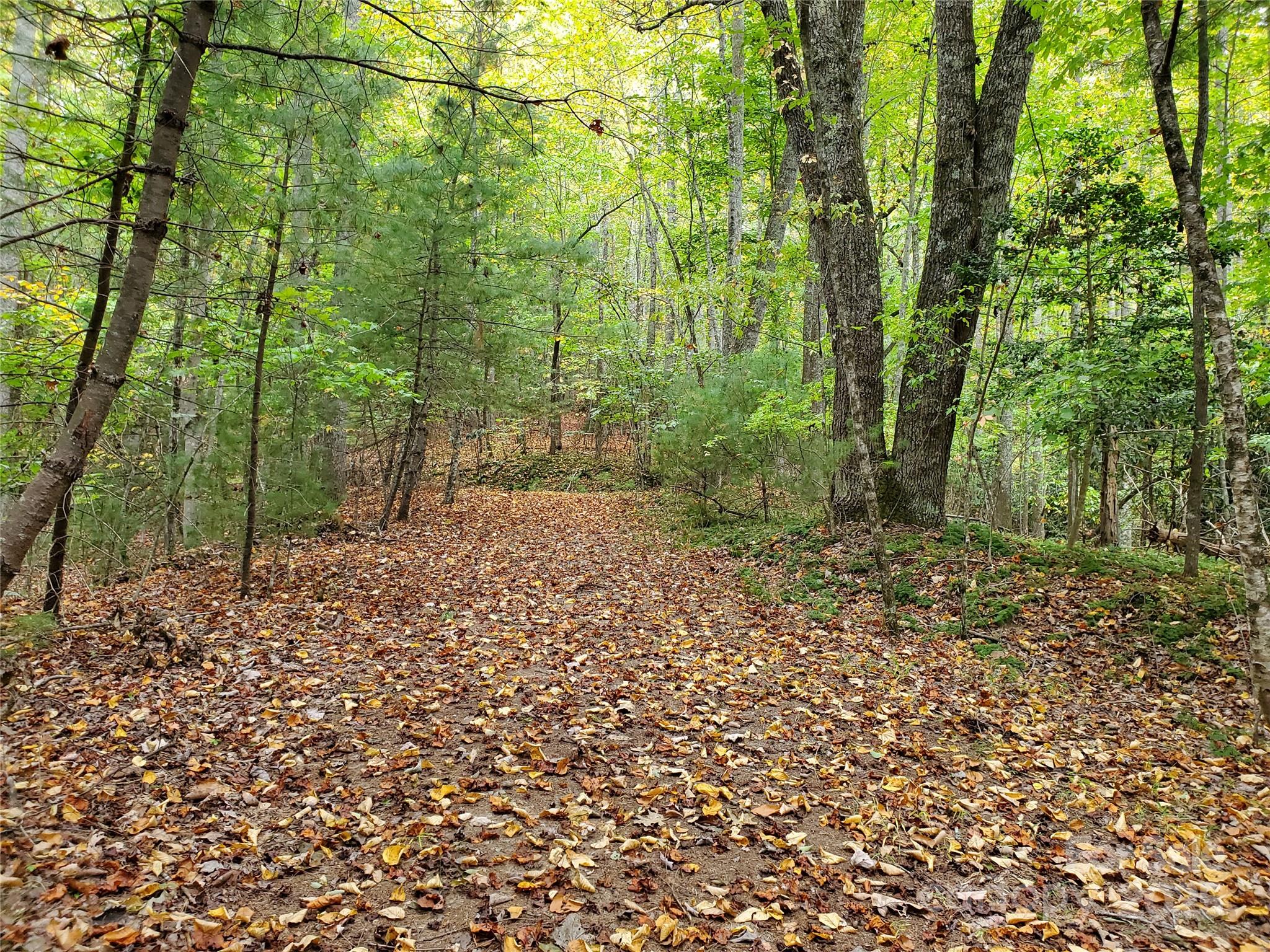 00 Hickory Wood Trail 20,21 Property Photo 7