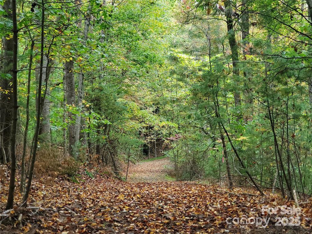 00 Hickory Wood Trail 20,21 Property Photo 9