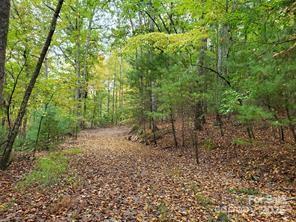 00 Hickory Wood Trail 20,21 Property Photo 10