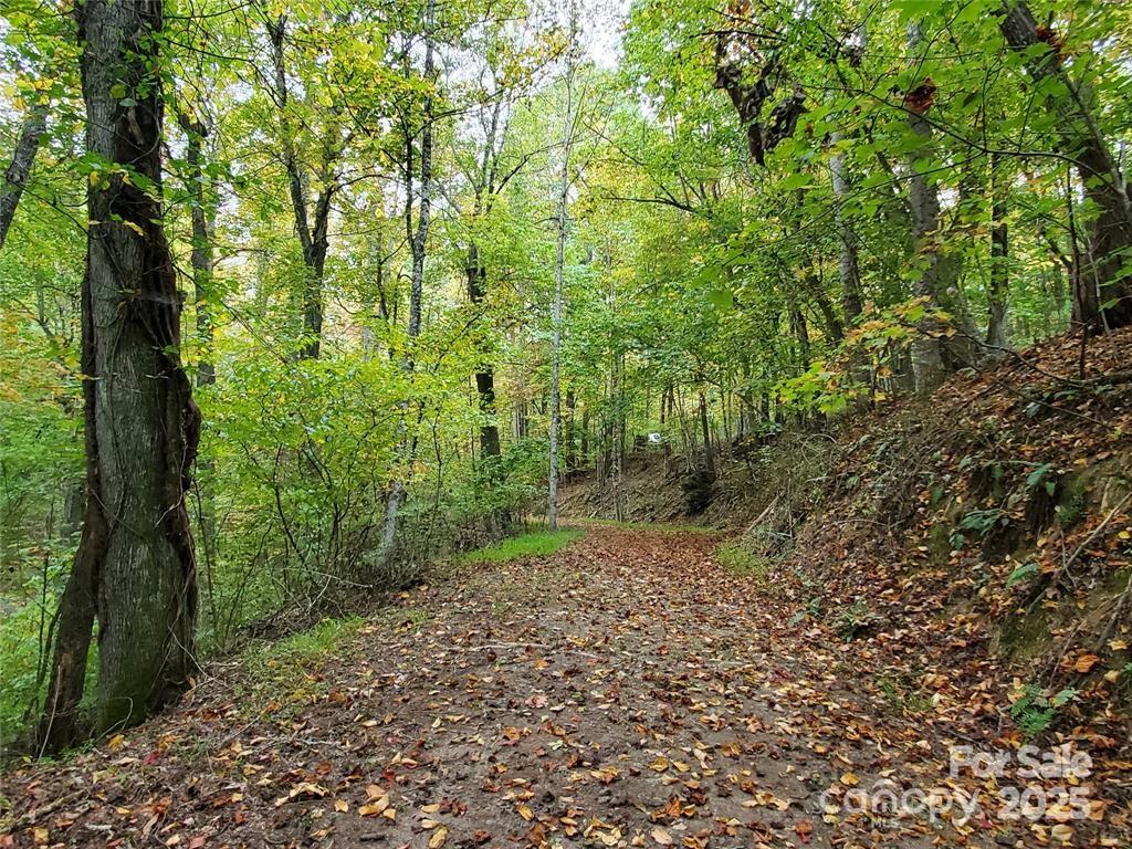00 Hickory Wood Trail 20,21 Property Photo 11