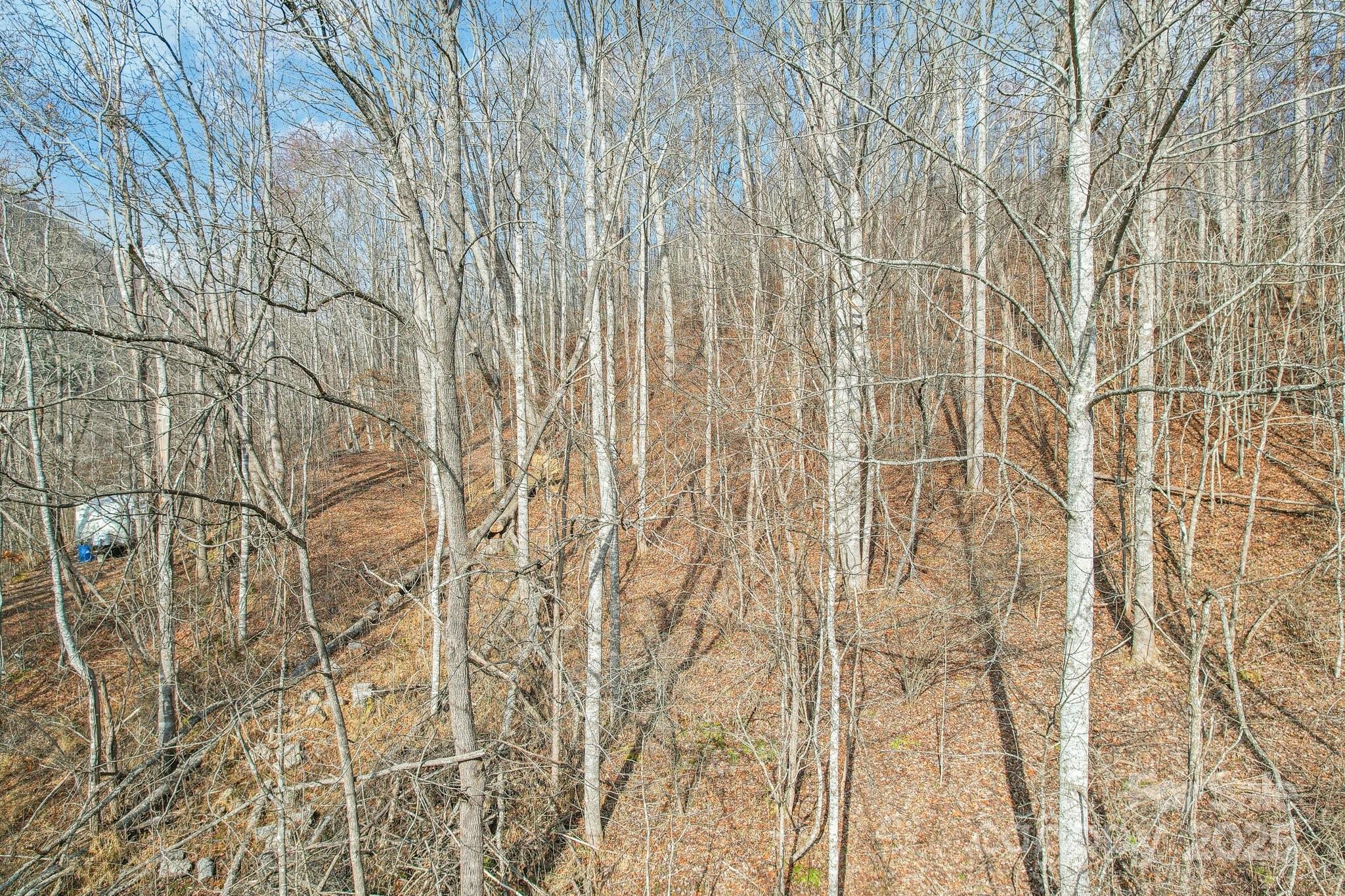 Lot 4 Cloudy Hill Drive Lot 4 Property Photo 15
