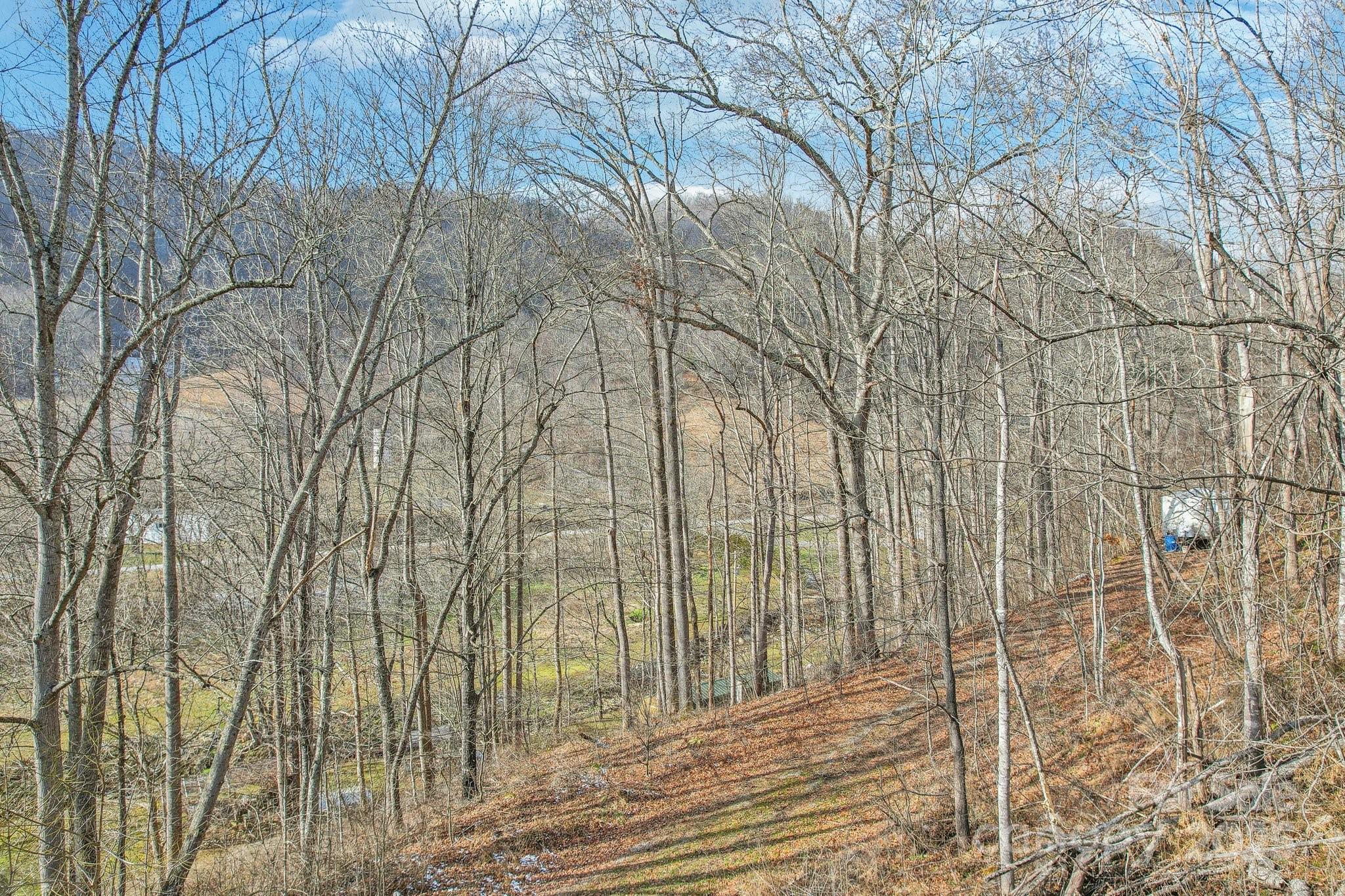 Lot 4 Cloudy Hill Drive Lot 4 Property Photo 16
