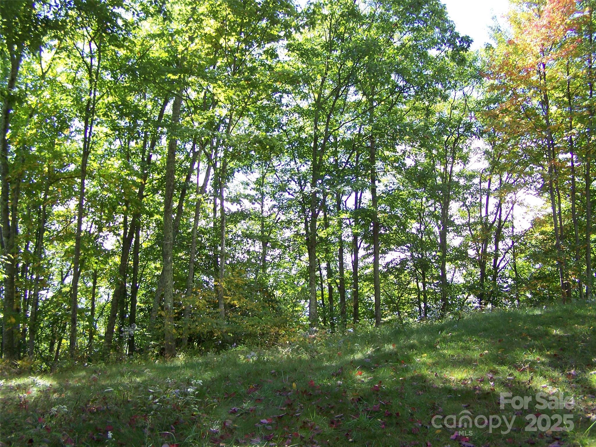 000 Fie Top Road Property Photo 2