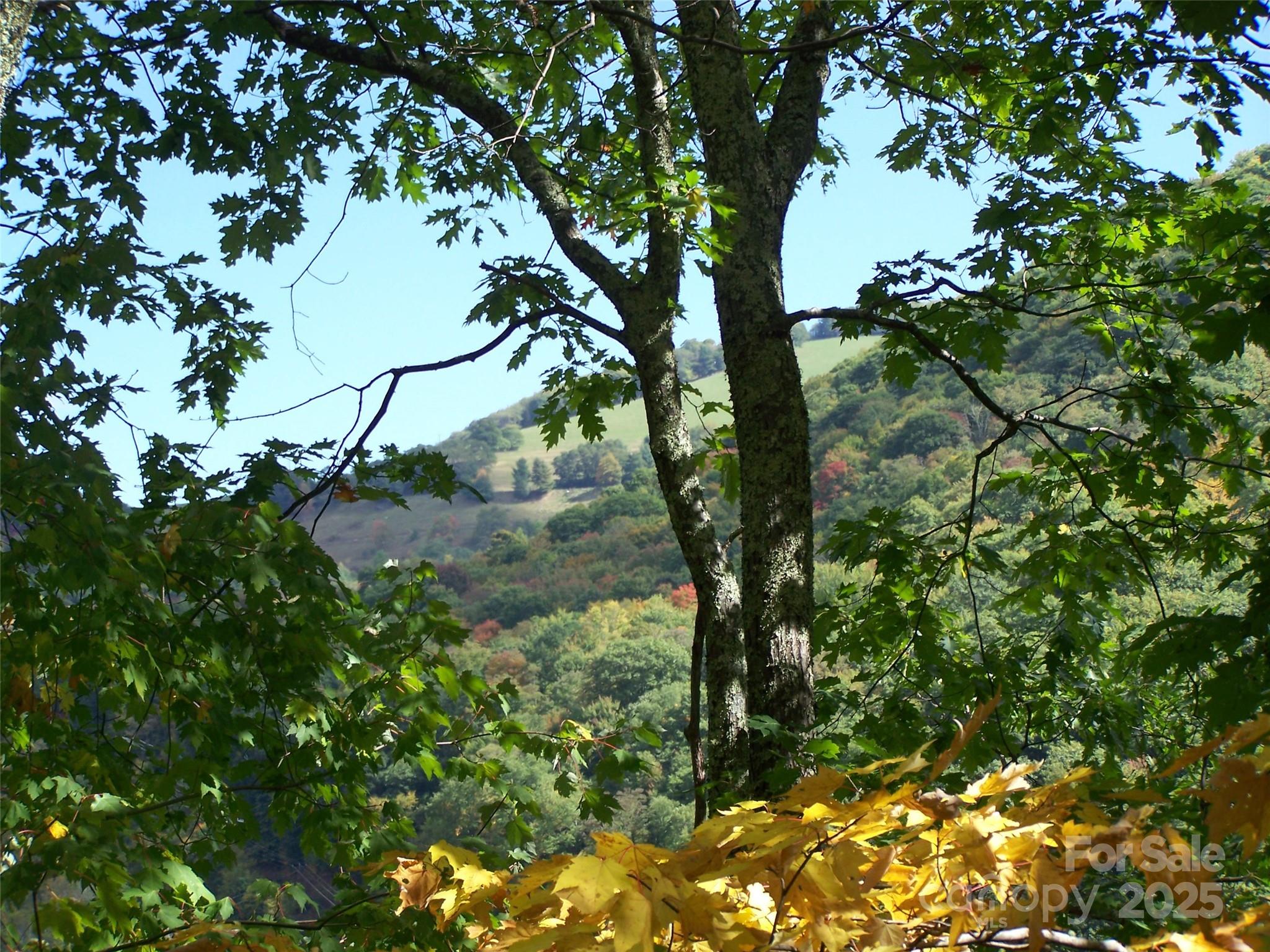 000 Fie Top Road Property Photo 10
