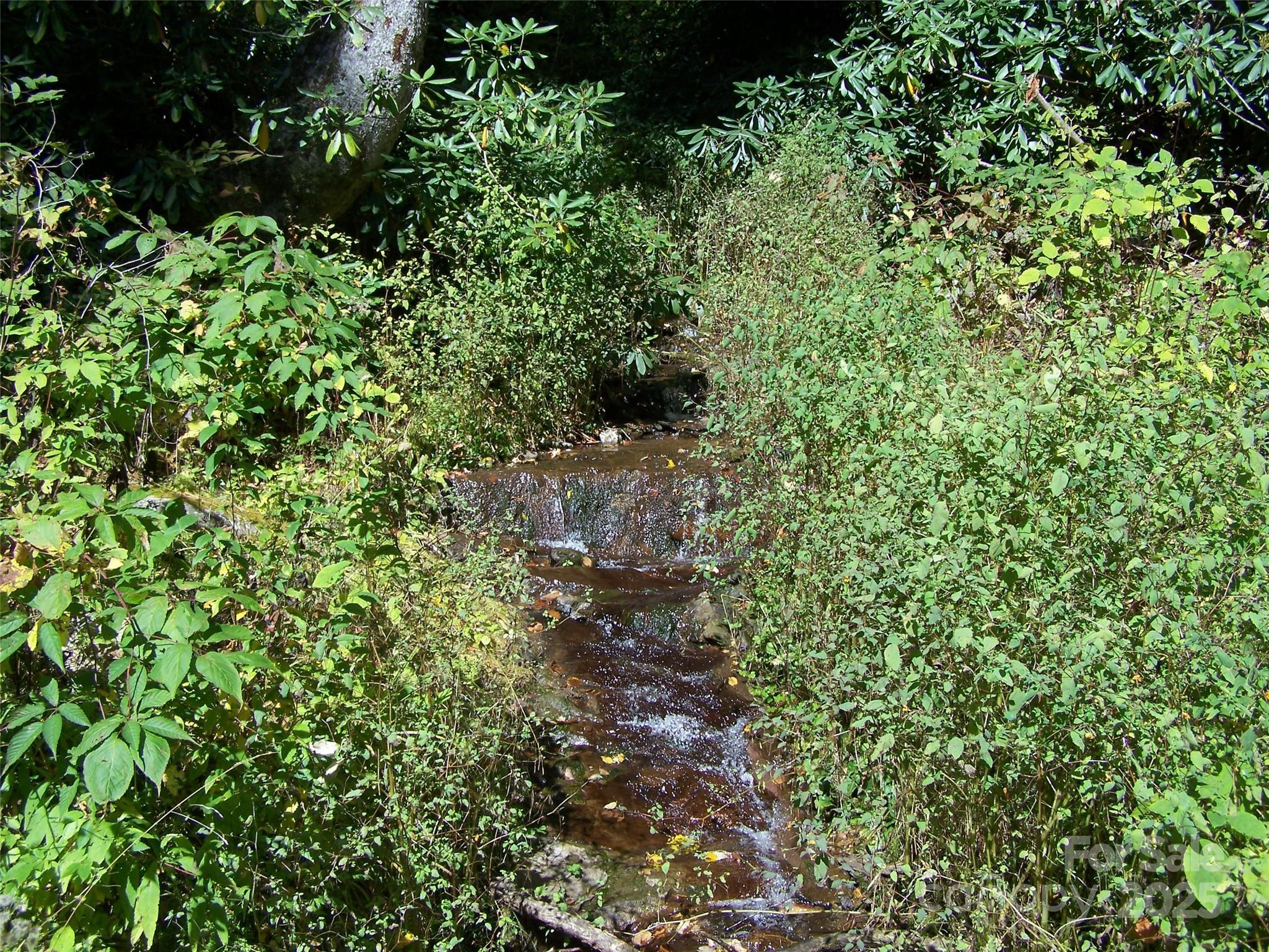 000 Fie Top Road Property Photo 11