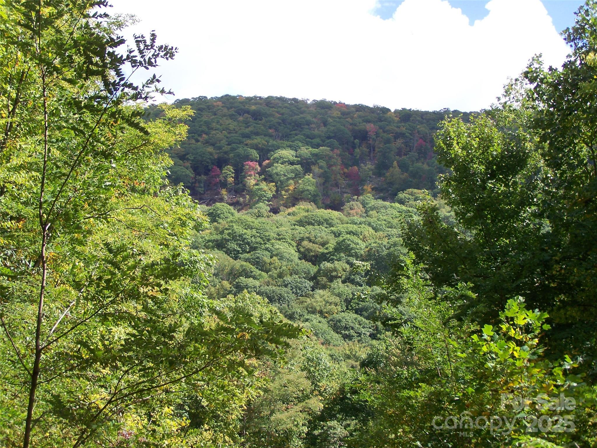 000 Fie Top Road Property Photo 13