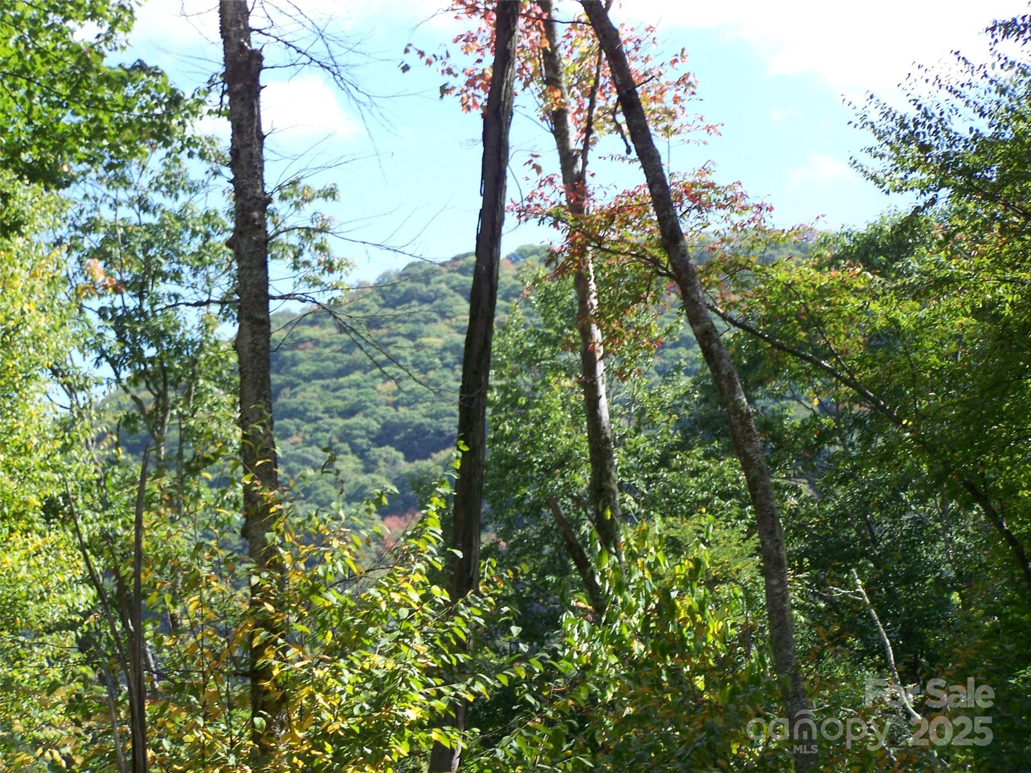 000 Fie Top Road Property Photo 14