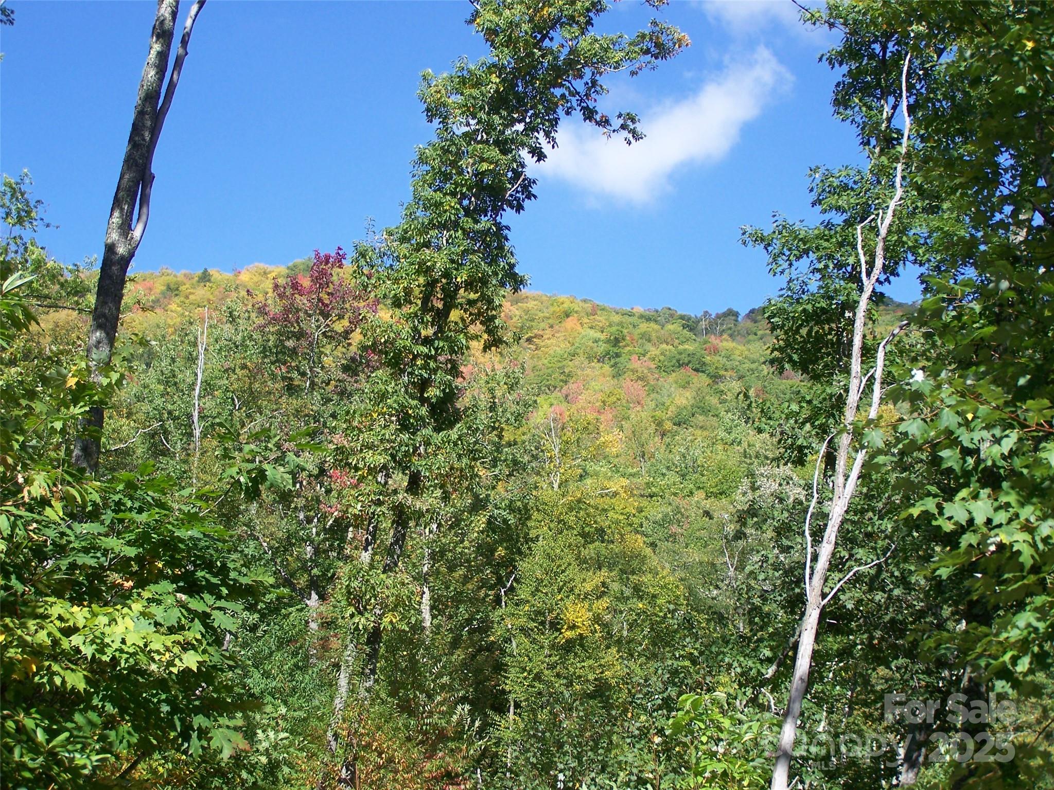 000 Fie Top Road Property Photo 15