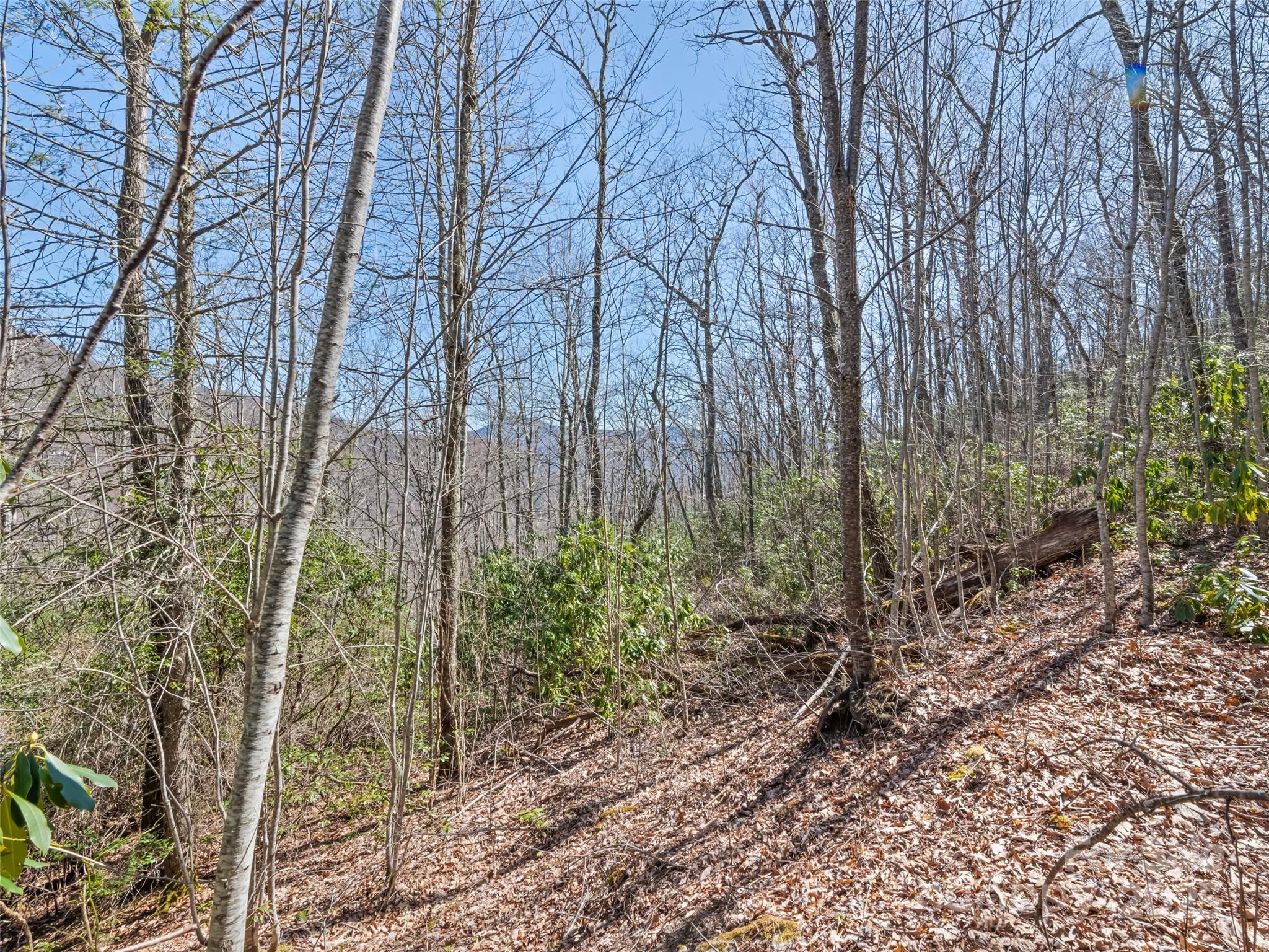 000 Fie Top Road Property Photo 21