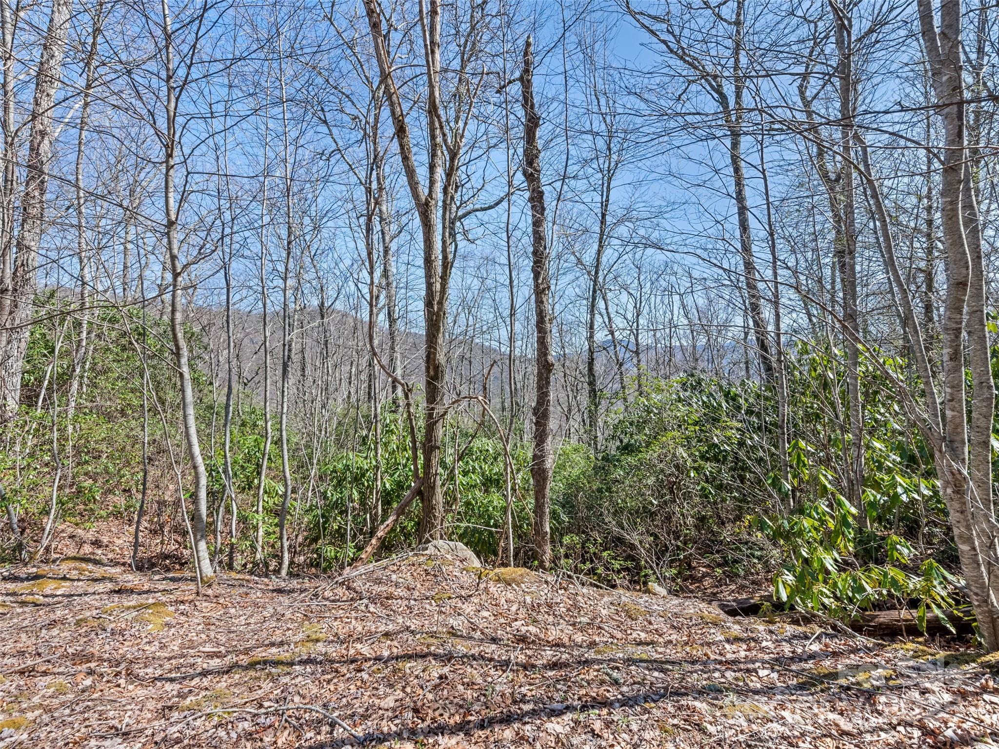 000 Fie Top Road Property Photo 22
