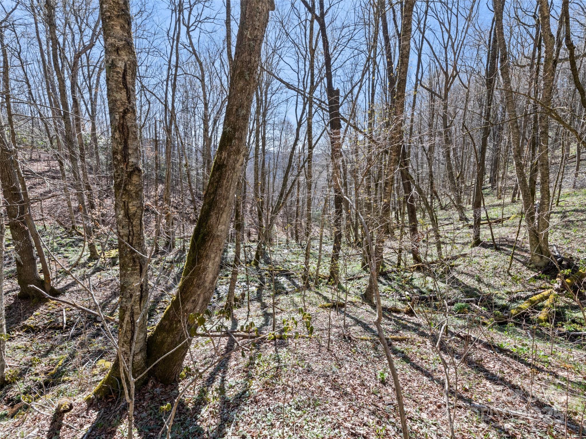 000 Fie Top Road Property Photo 28
