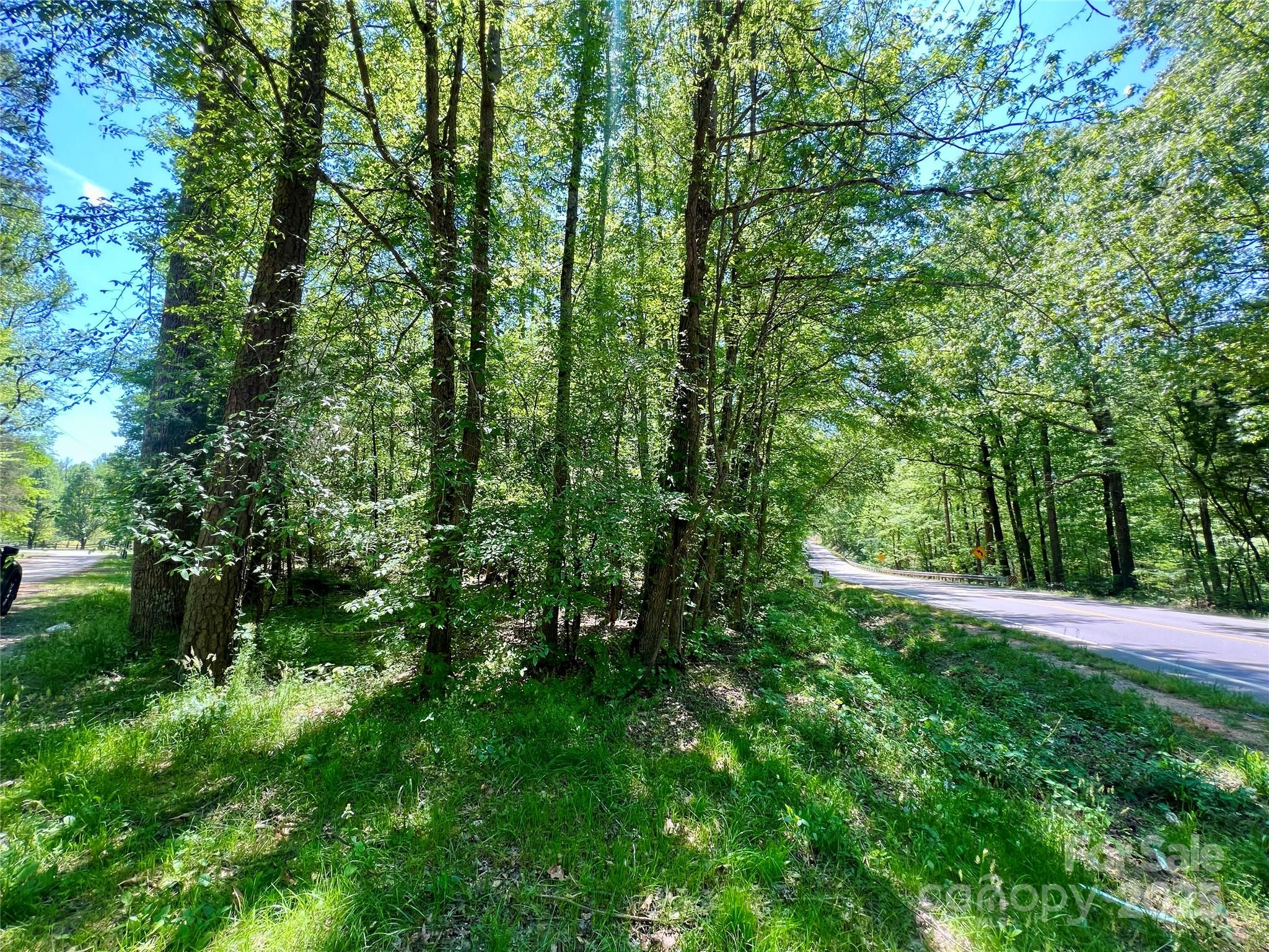 0 Monroe Highway Property Photo 1