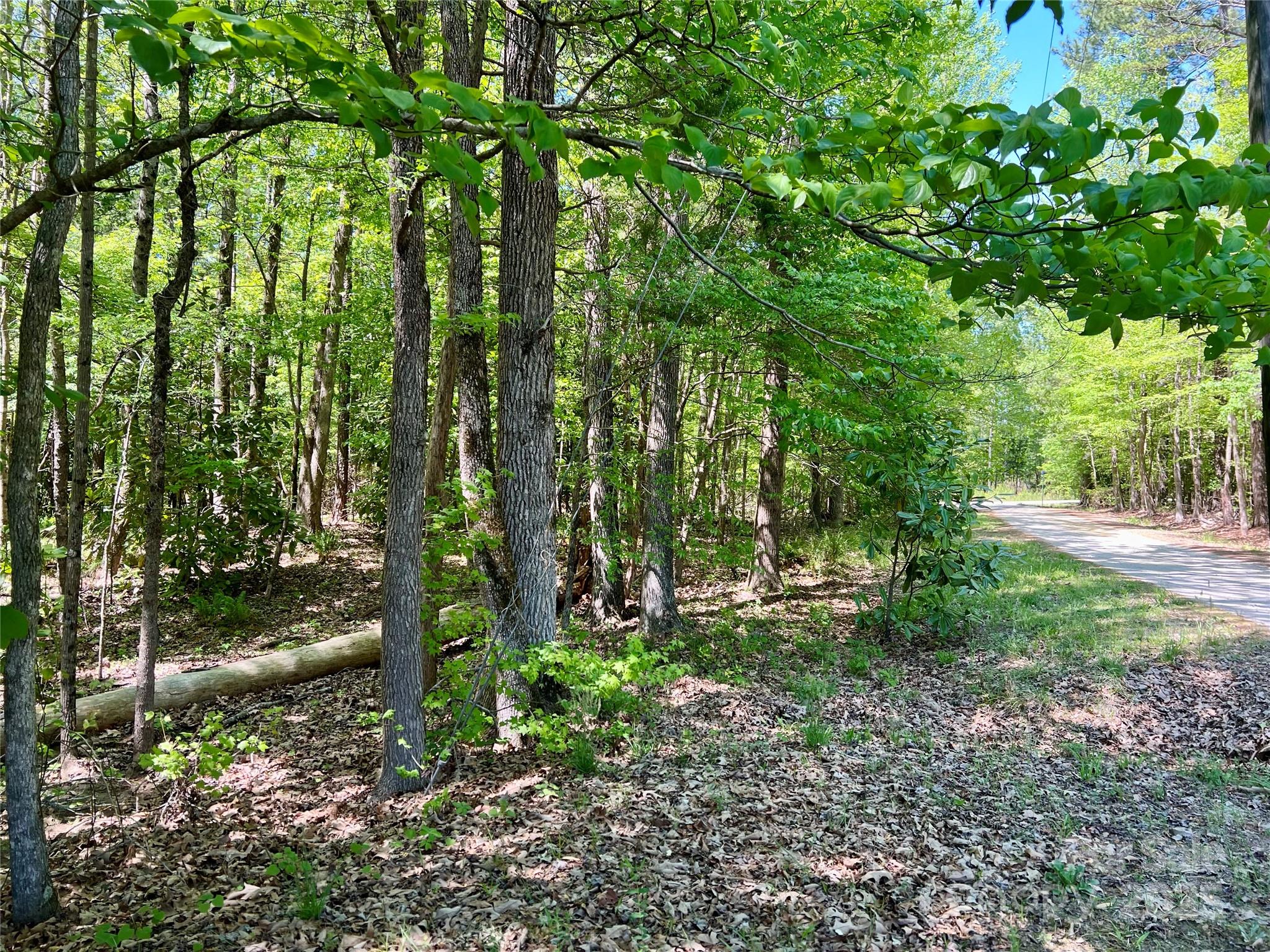 0 Monroe Highway Property Photo 2