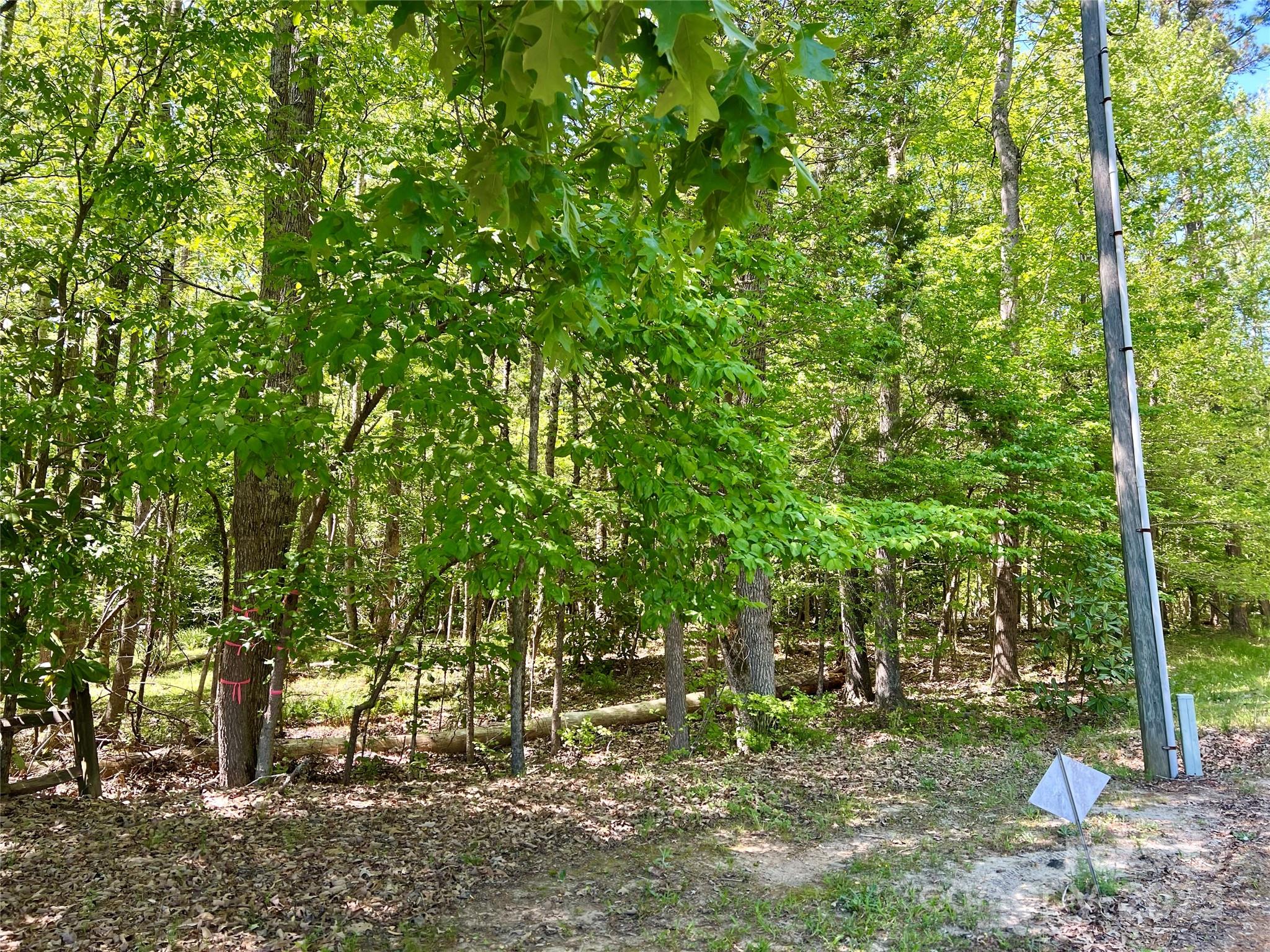 0 Monroe Highway Property Photo 3