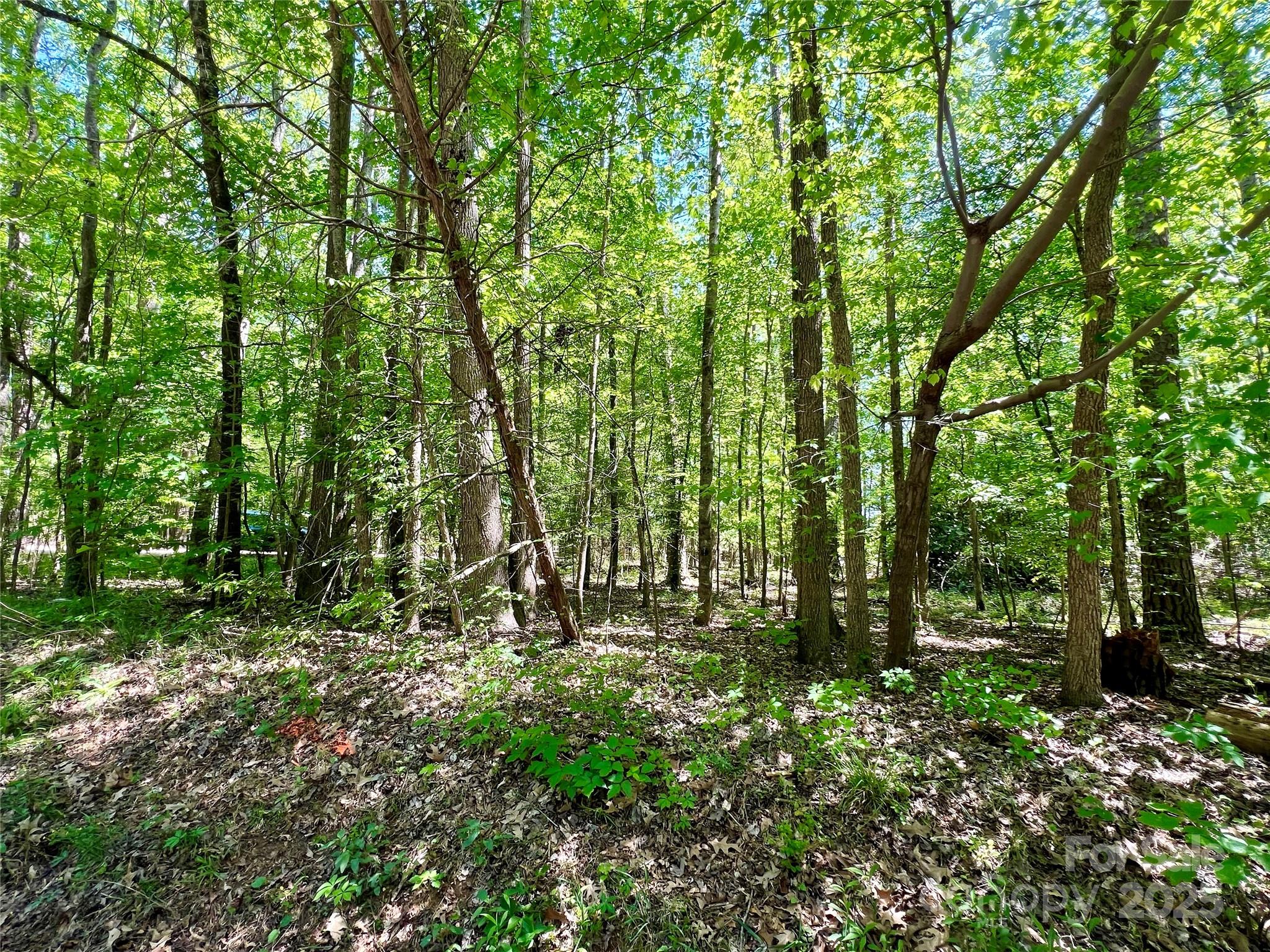 0 Monroe Highway Property Photo 6