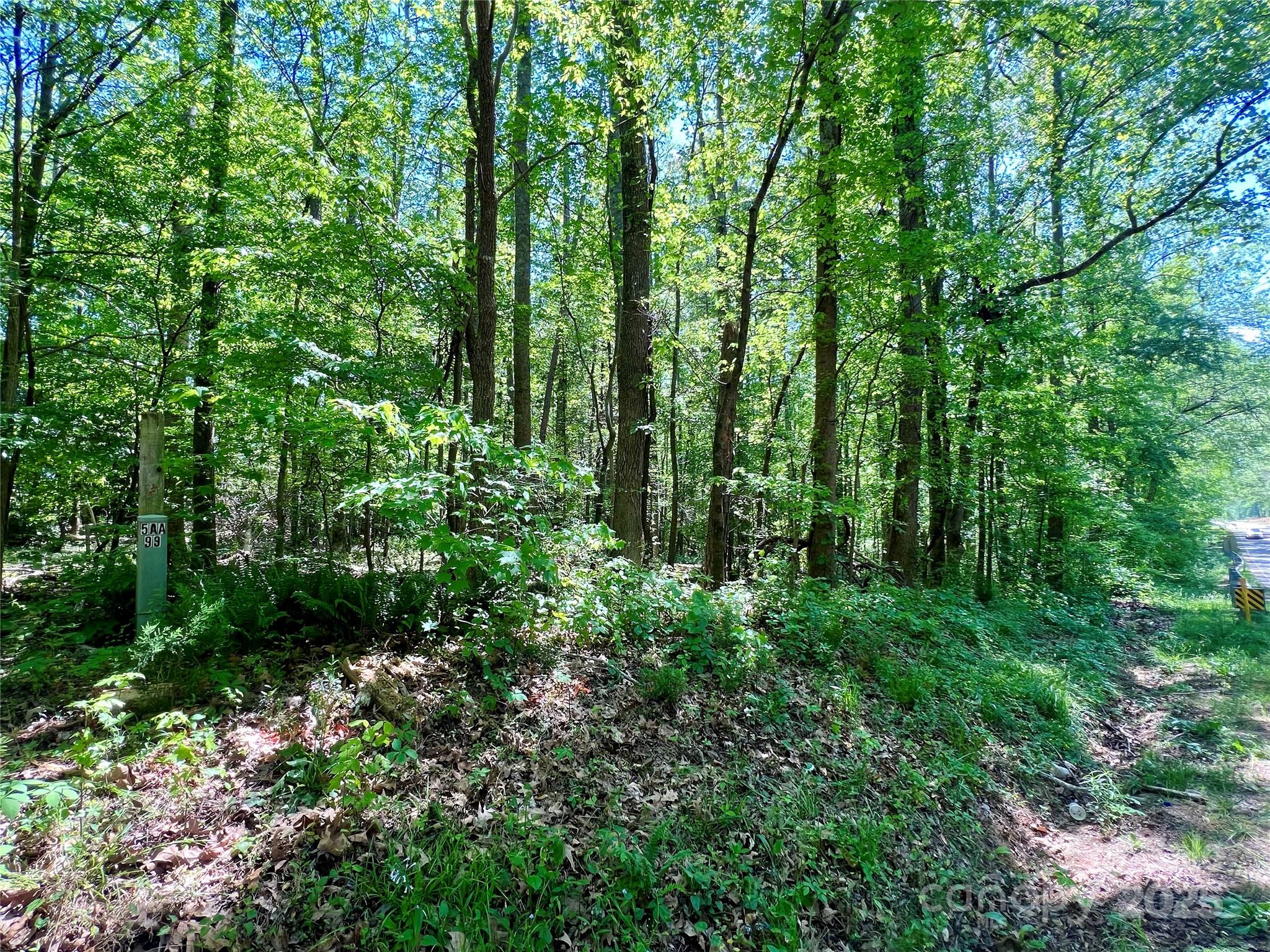 0 Monroe Highway Property Photo 7