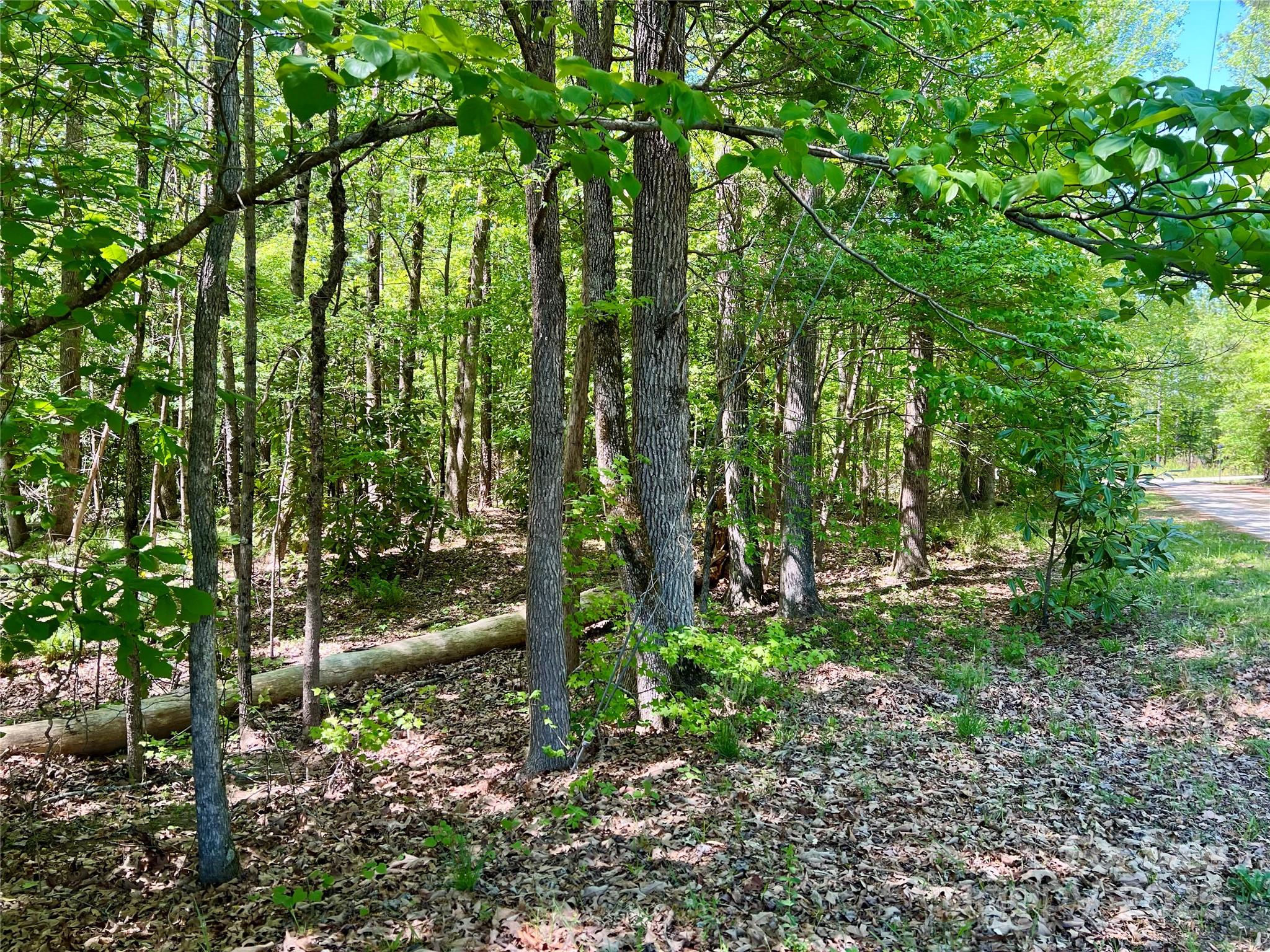 0 Monroe Highway Property Photo 8